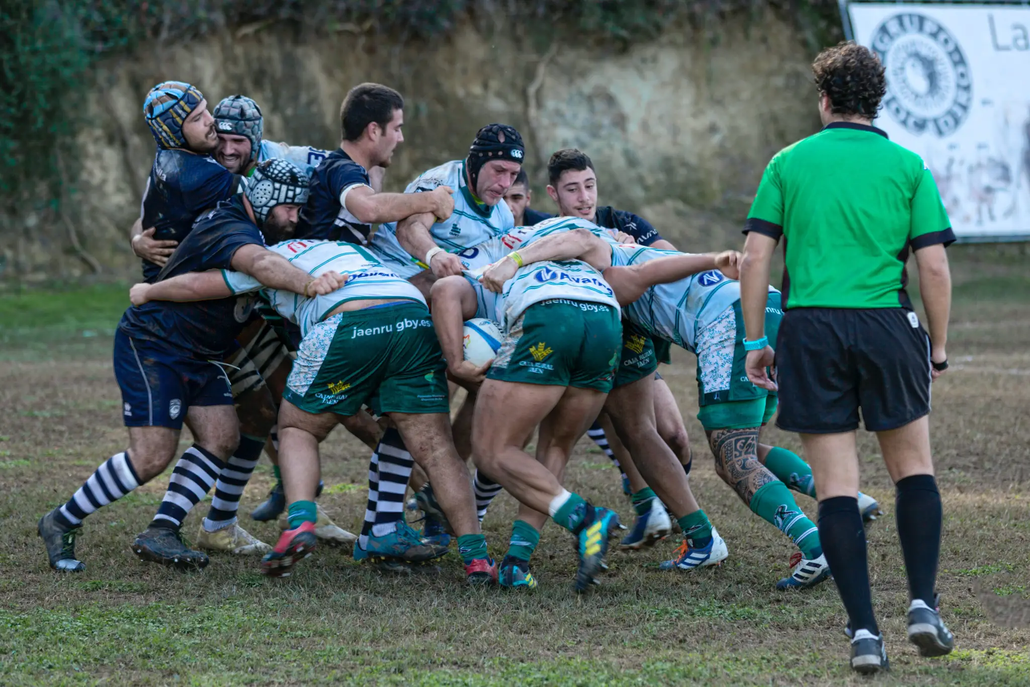 Comité Départemental de Rugby de la Vienne