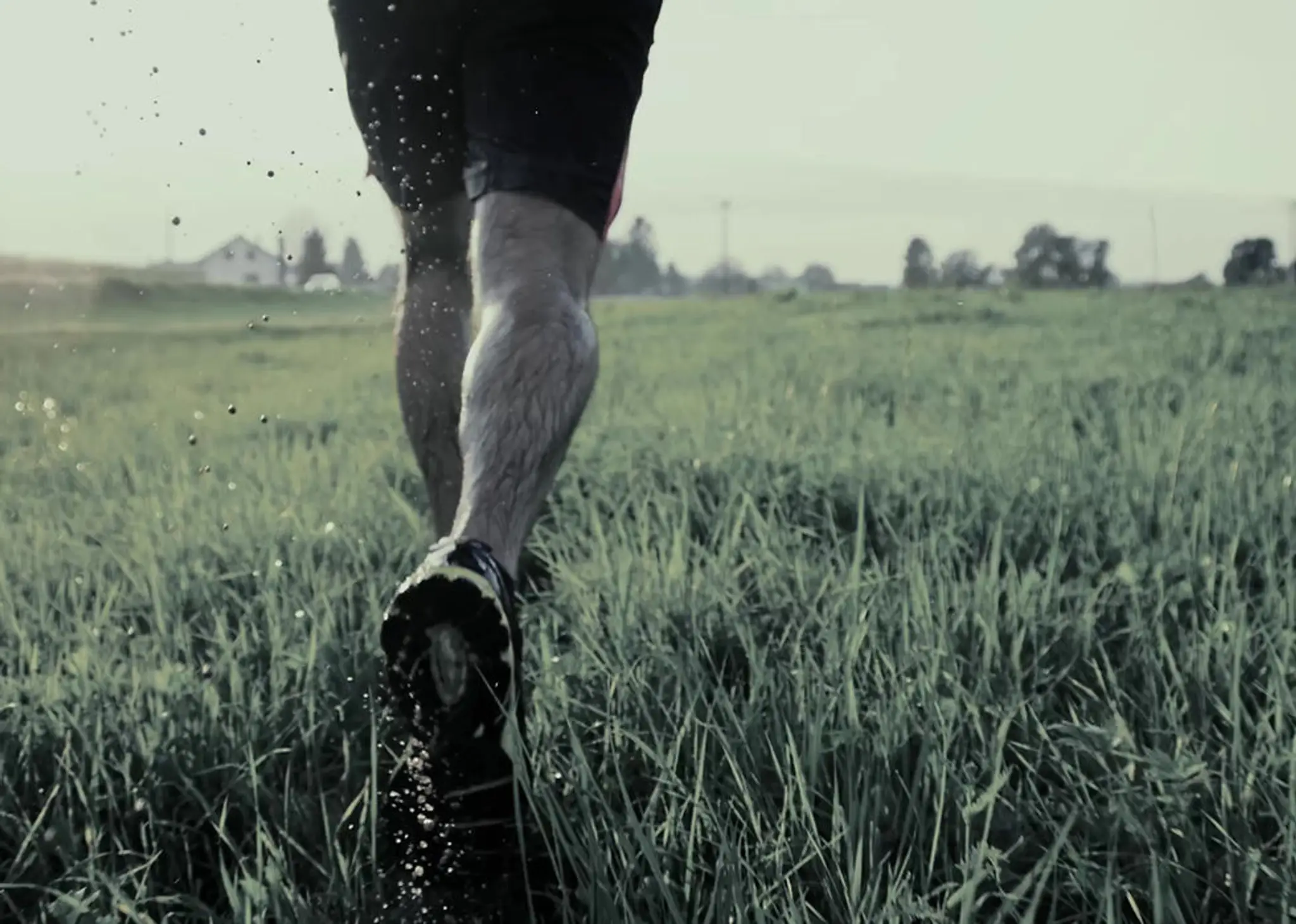 Paul Stevens Personal Training