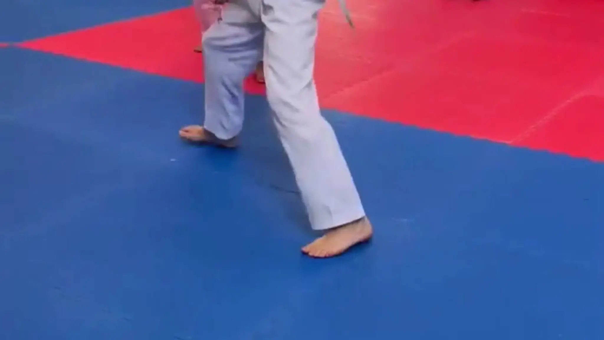 Sanshin Taekwondo