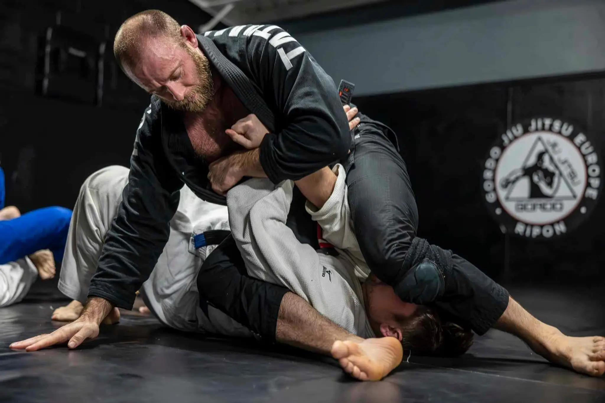 GORDO JIU JITSU RIPON
