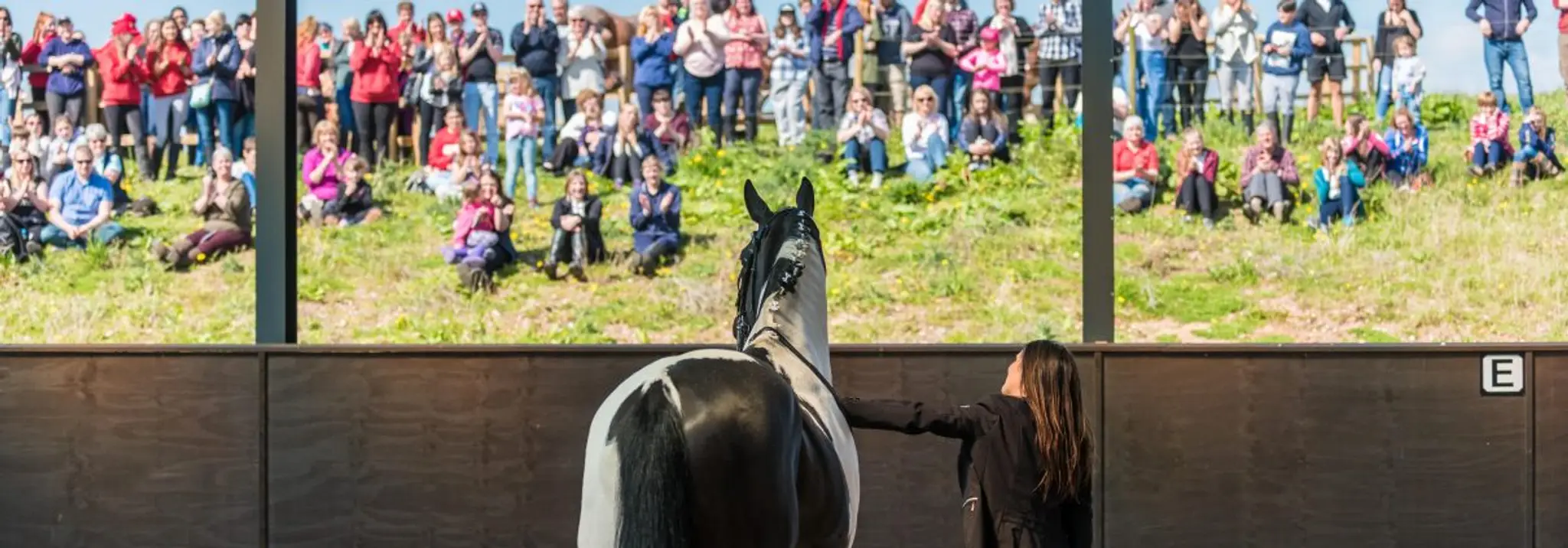 Cannock Chase Trekking Centre