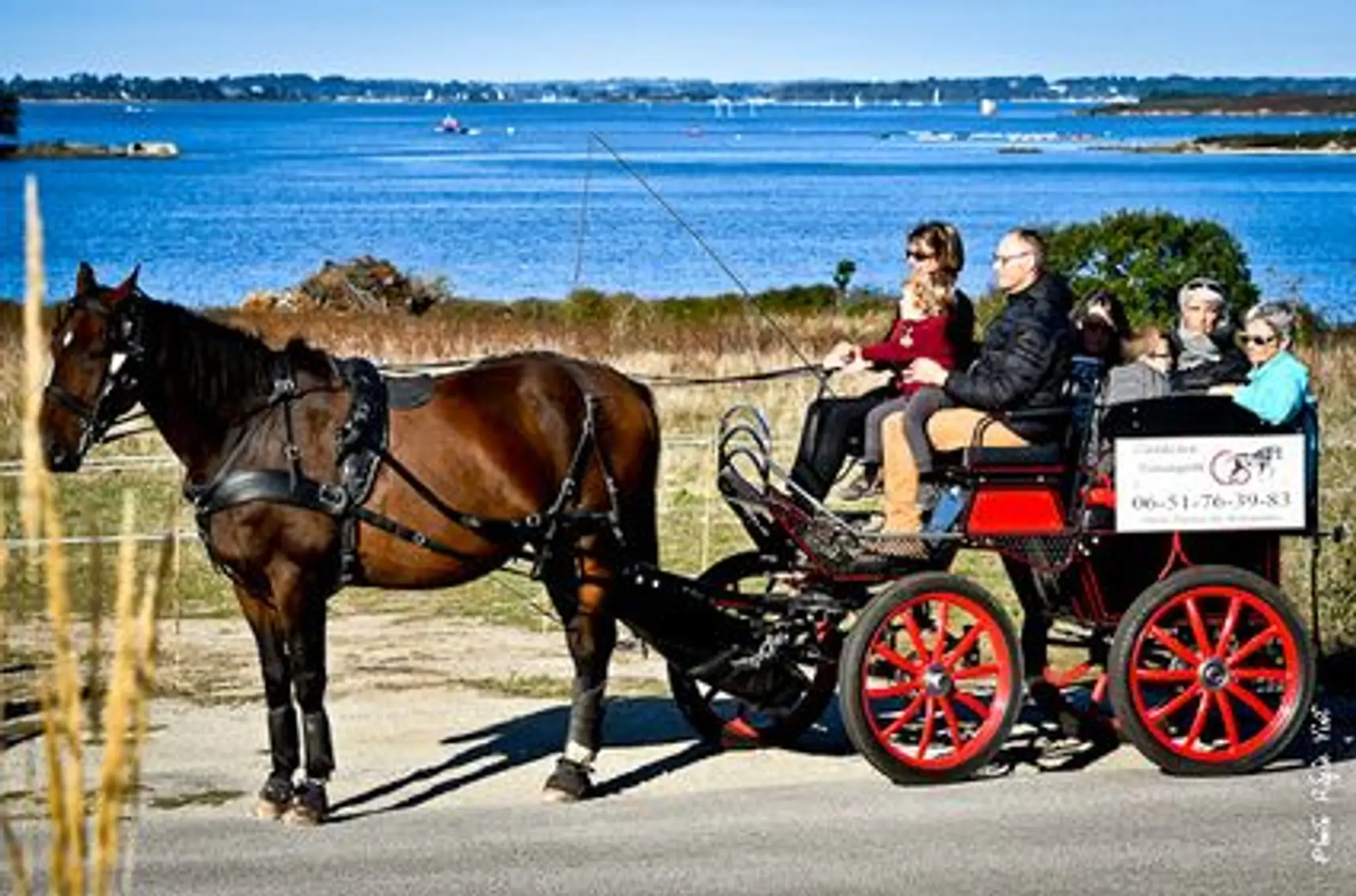 La Carriage De Séné - Balade À Cheval