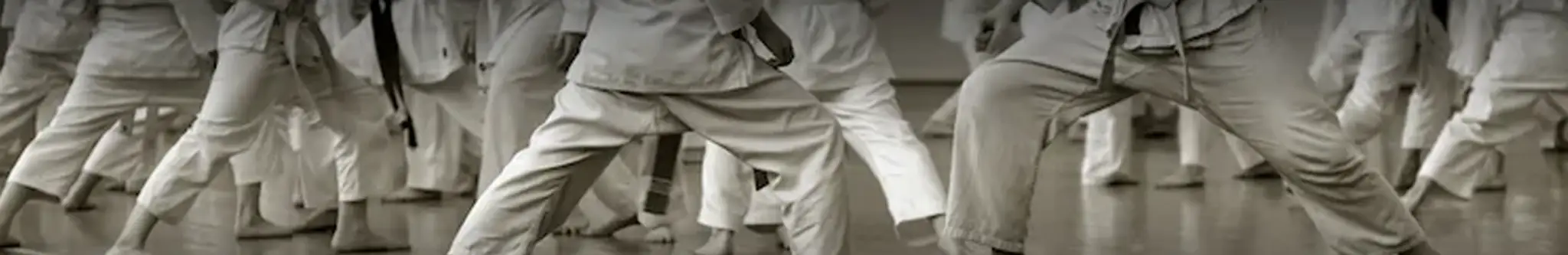 Singapore Karate-Do Federation