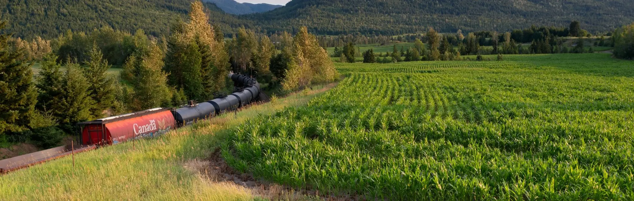 Farrell's Field - Outdoor Ice Rink