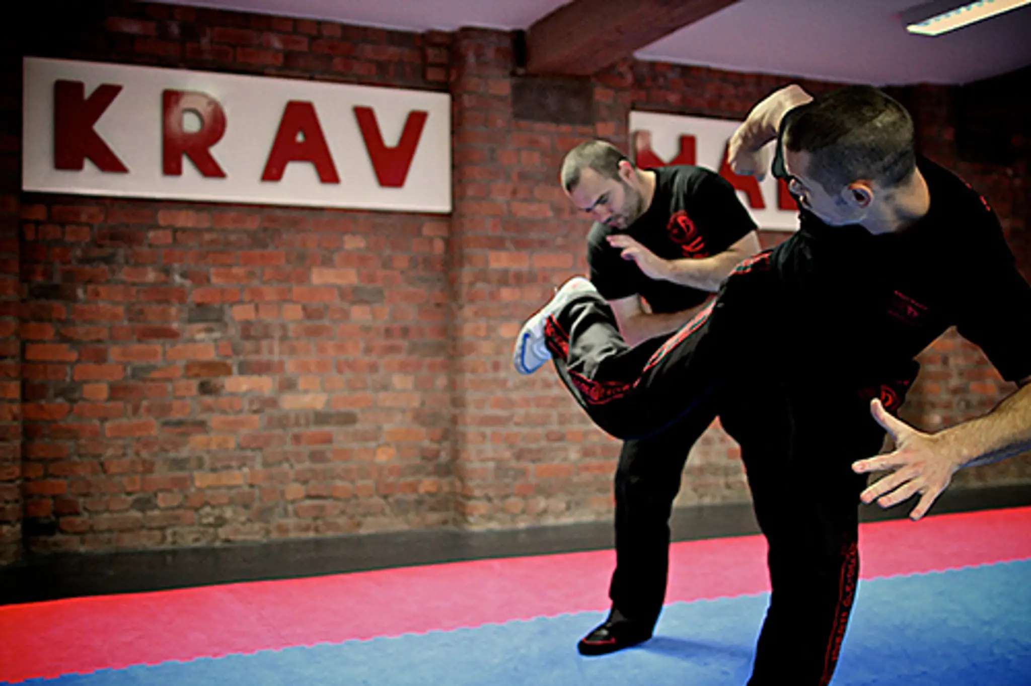 Adrian's Transilvania School of Krav Maga