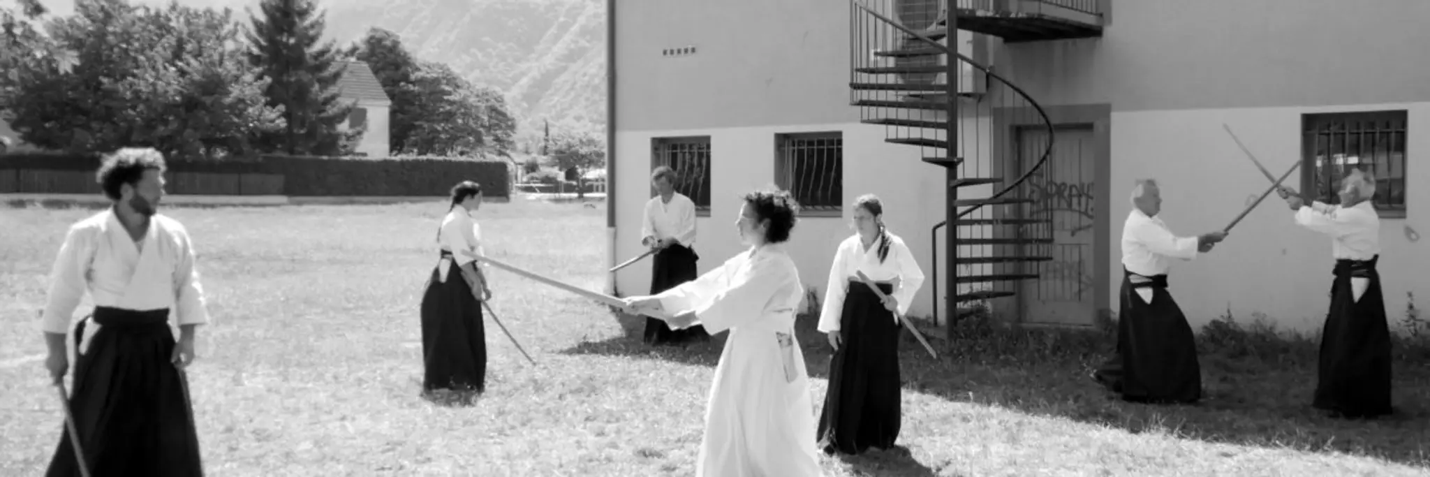 Academy Vifoise D'aikido