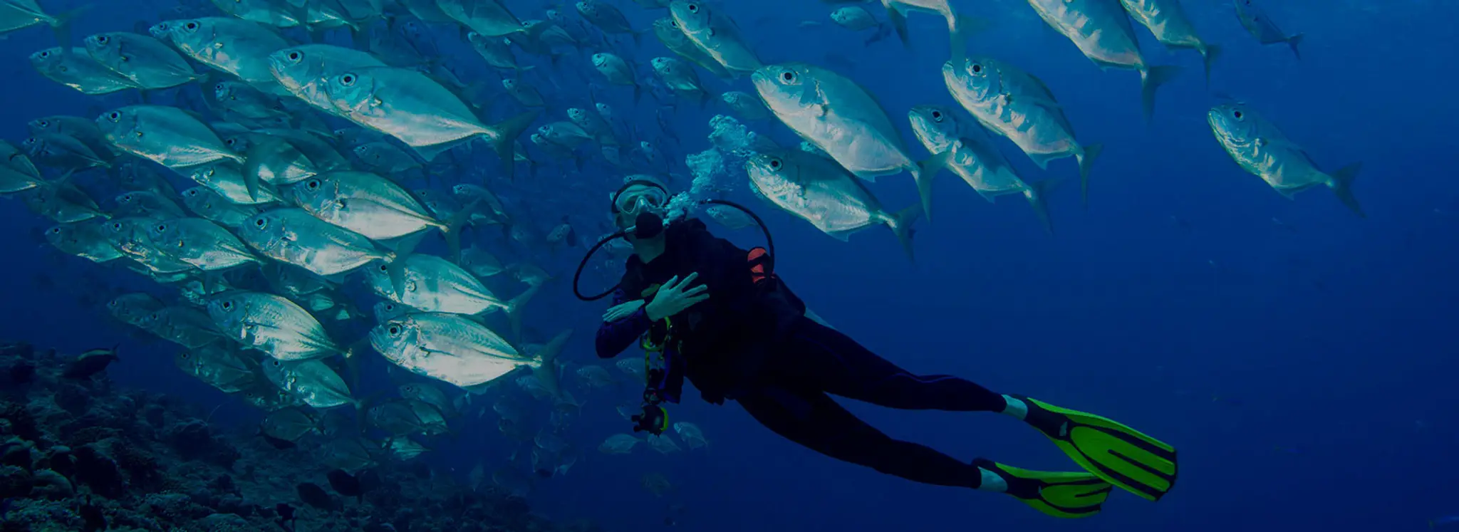 Planet Travel Holidays.