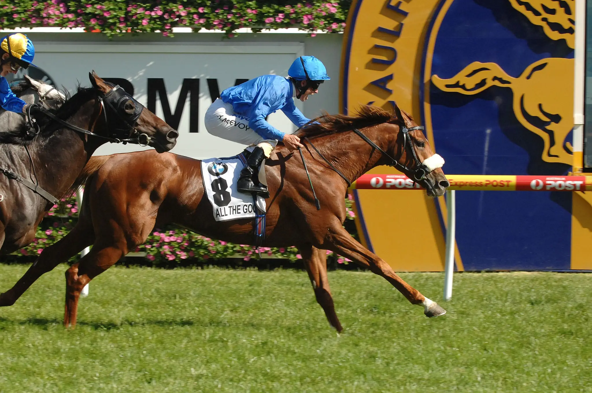 Lillingston Bloodstock