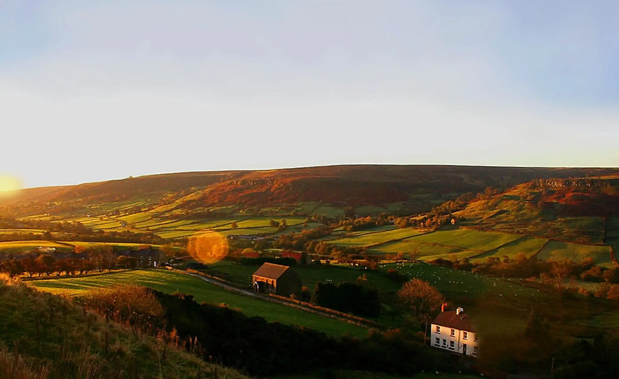 The Tree Relaxation Retreat