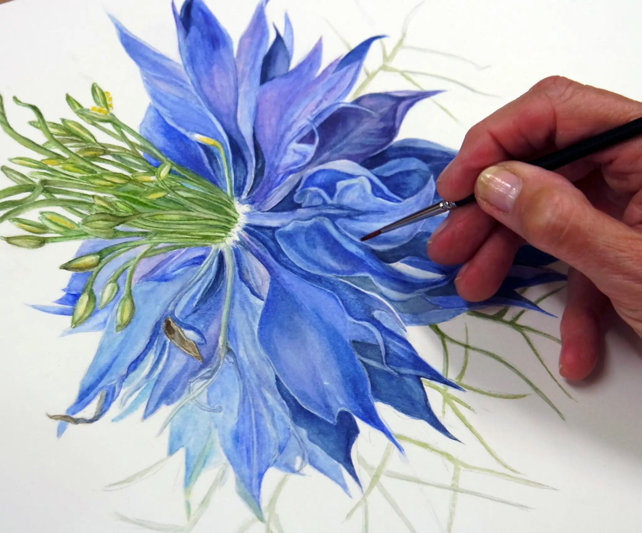 Park Orchards Community House & Learning Centre