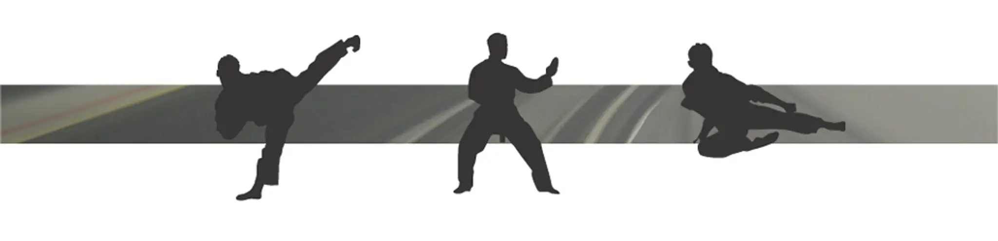 Ryouko Martial Arts Durham