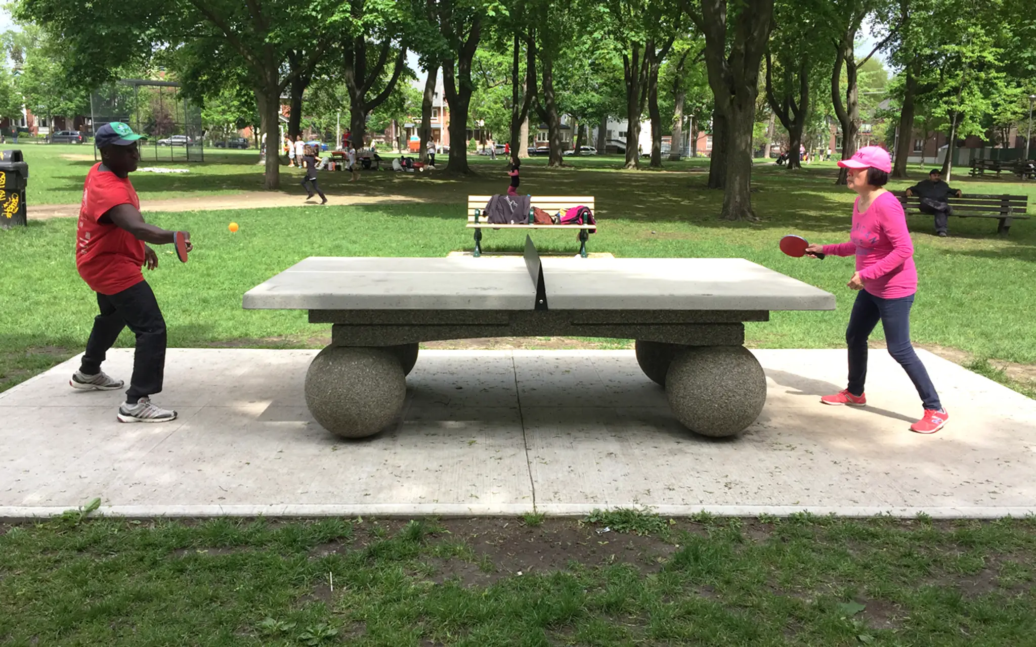 Dufferin Grove Park Ice Rink