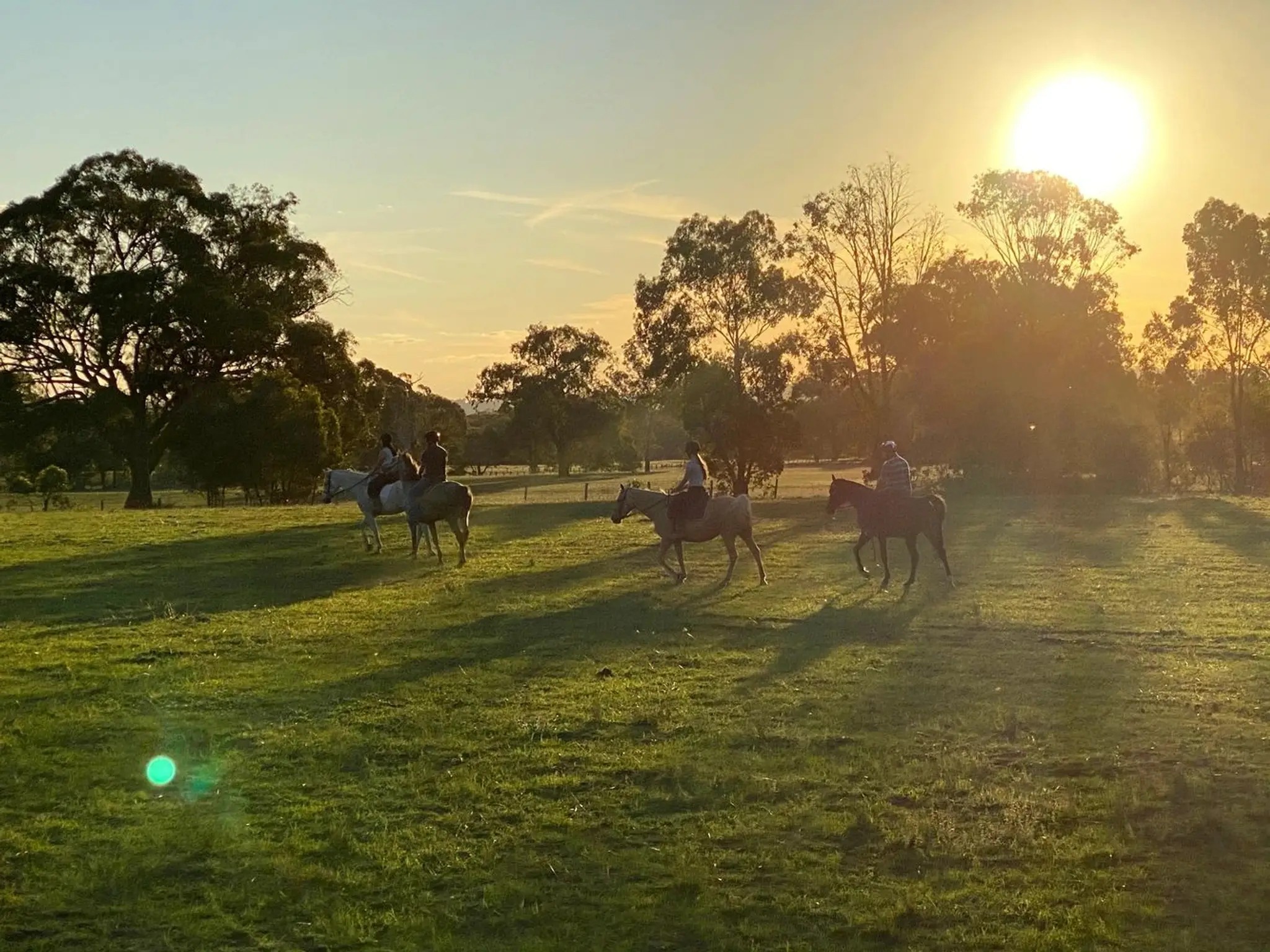 Mudgee Horse Riding Centre