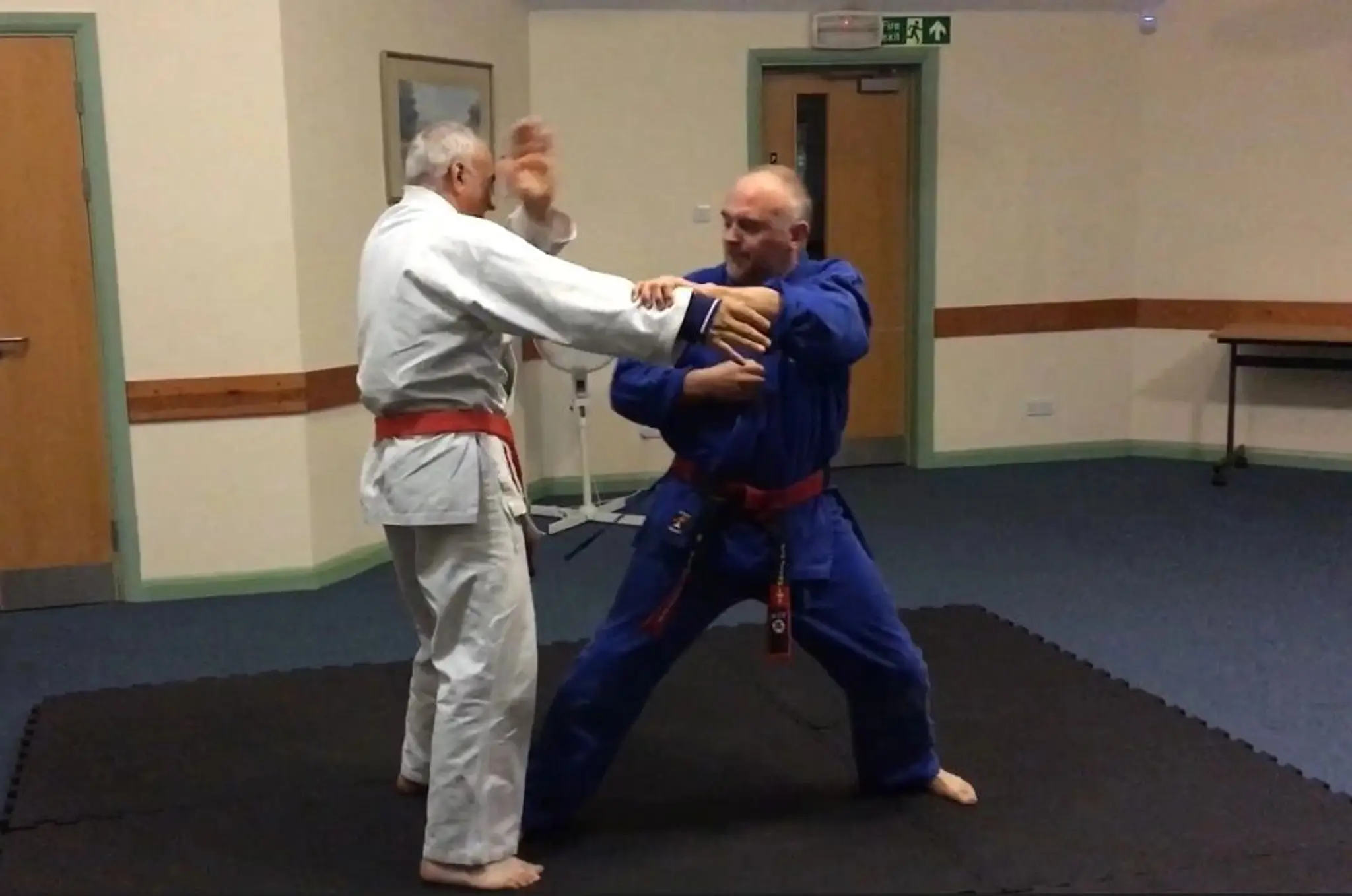 Yanagi No Ki Jiu-Jitsu & Kyujutsu Club