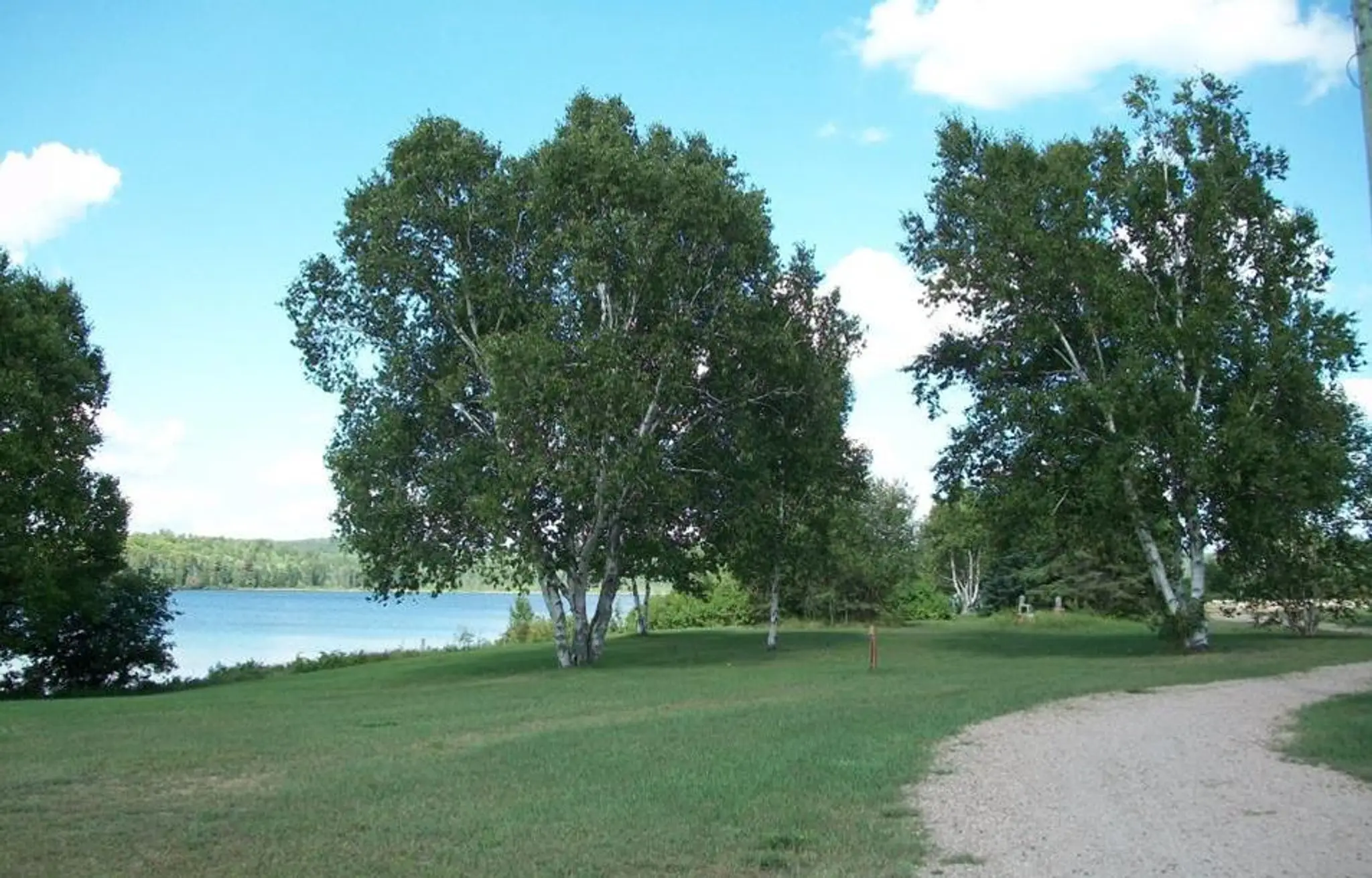 Tom Thomson Park