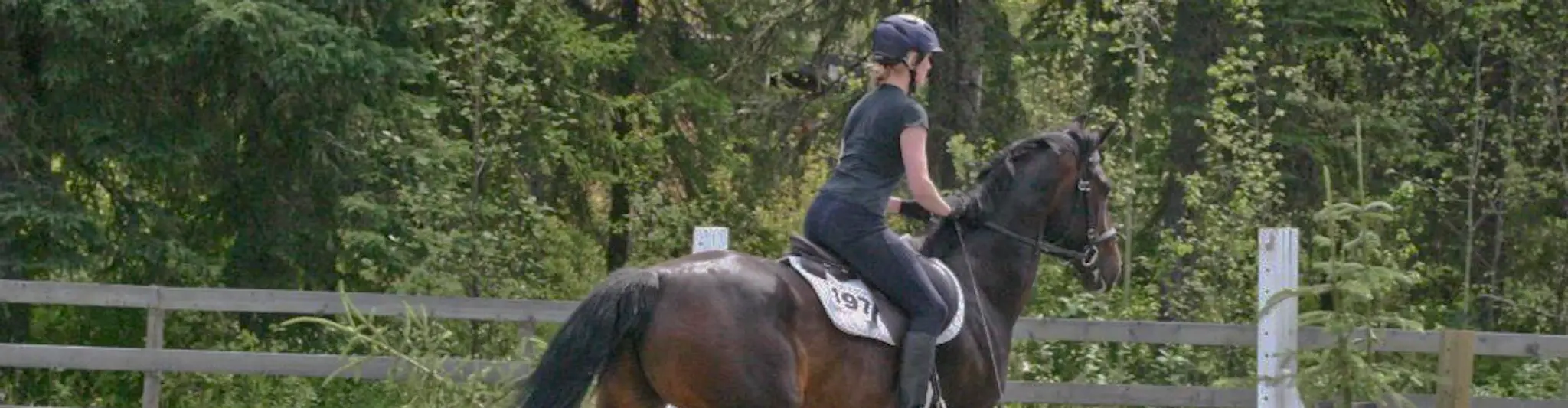 Prince George Horse Society