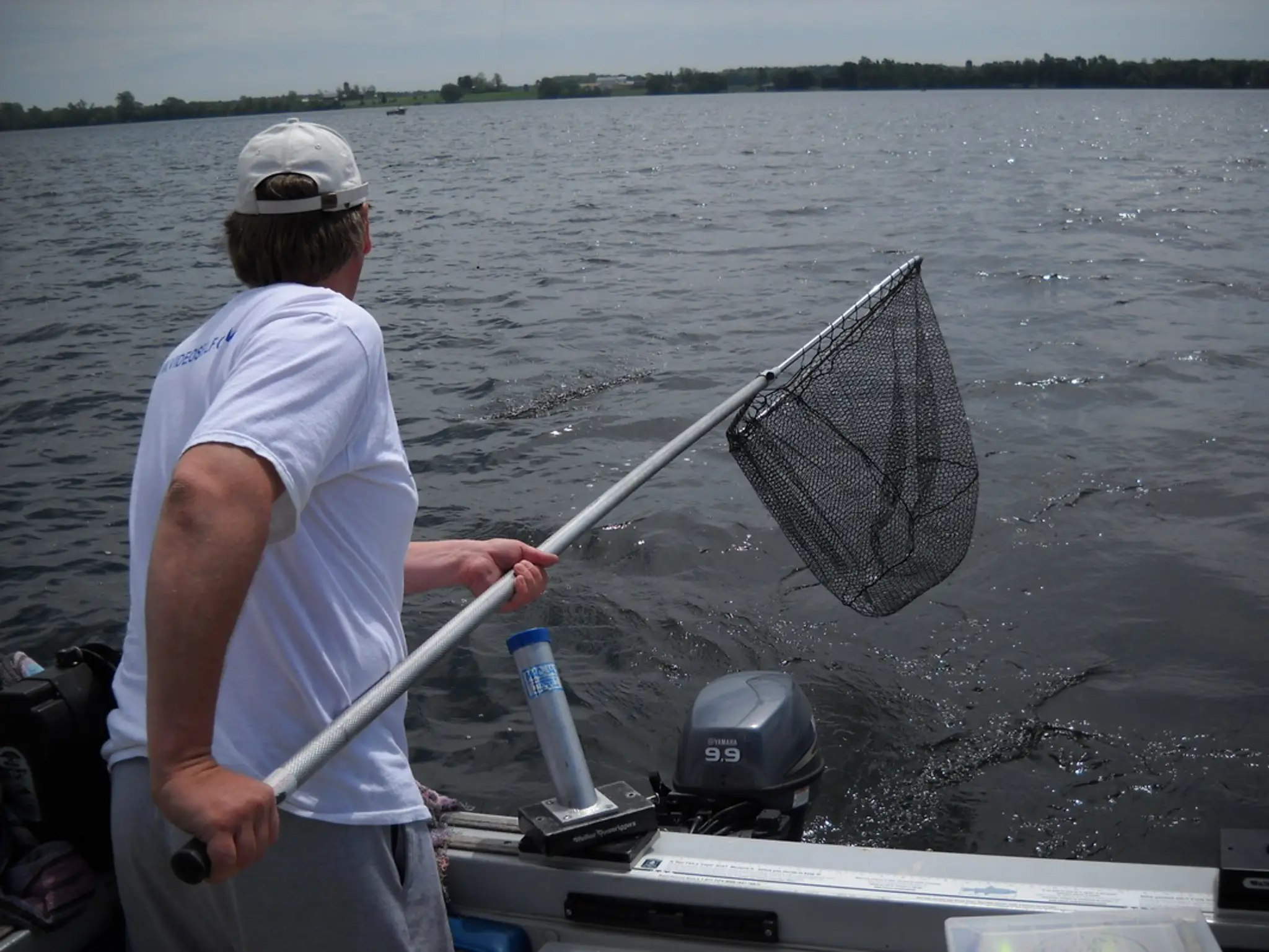 Silver and Gold Sport Fishing