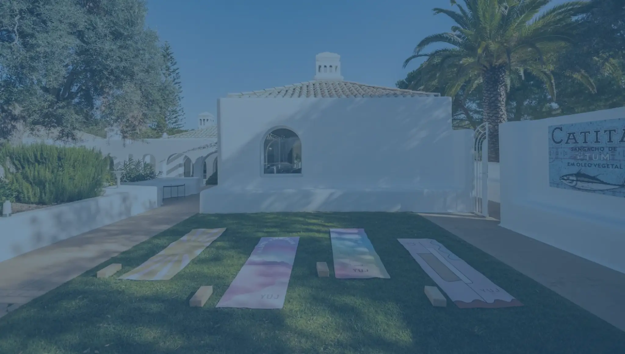 Natural Form Studio of Movement