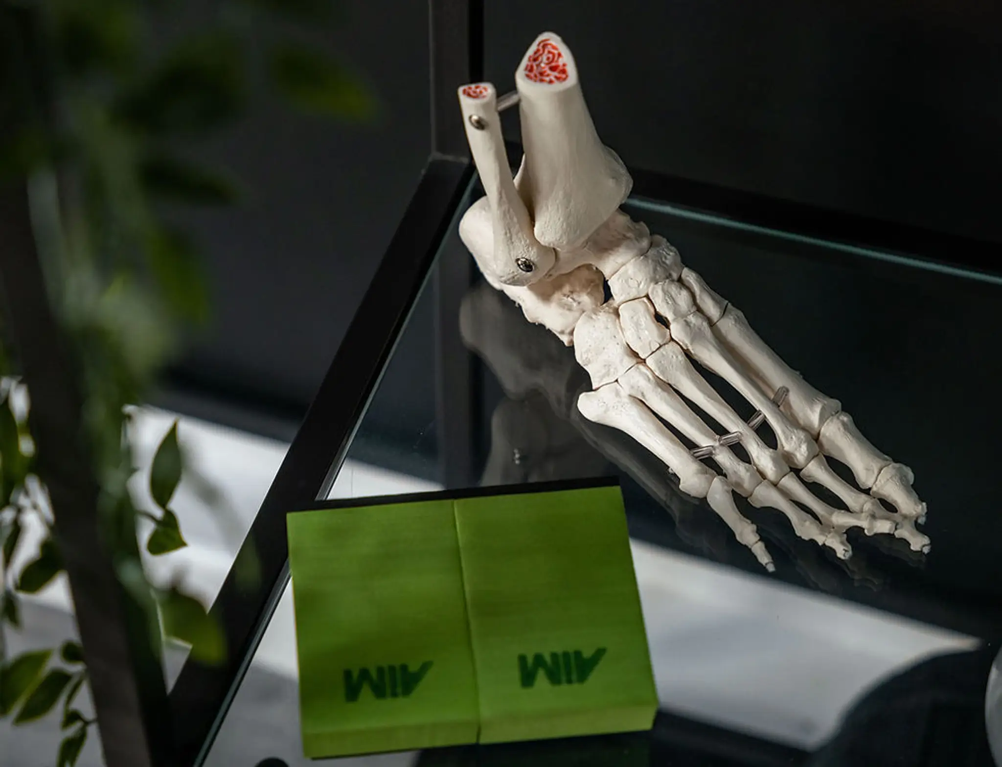 Fit Physio Hillsborough