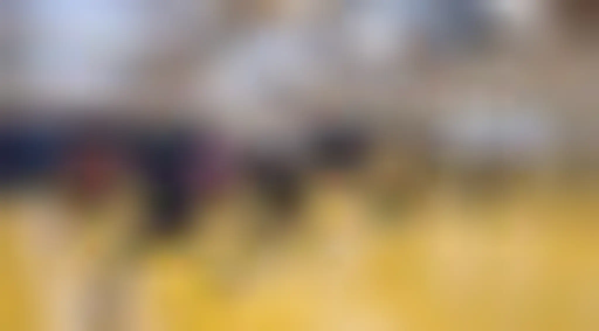 Spectrum Classical Kung Fu Association