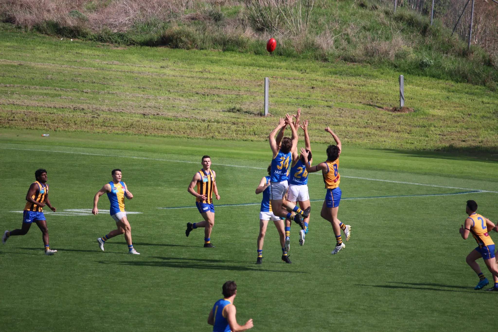 St Bernards Old Collegians Football Club