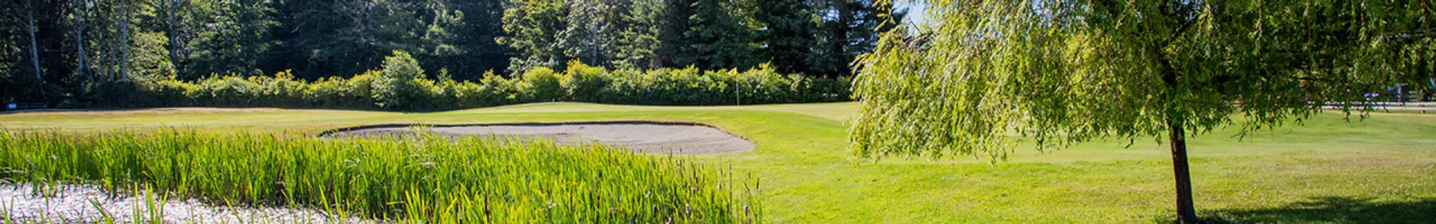 DeMamiel Creek Golf Course