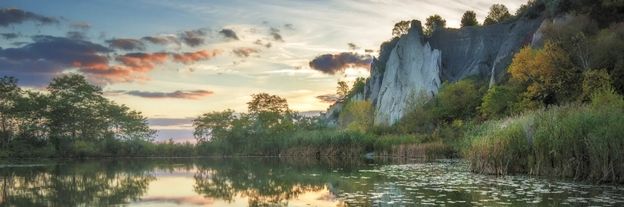 Trinity Bellwoods Park Hockey Rink