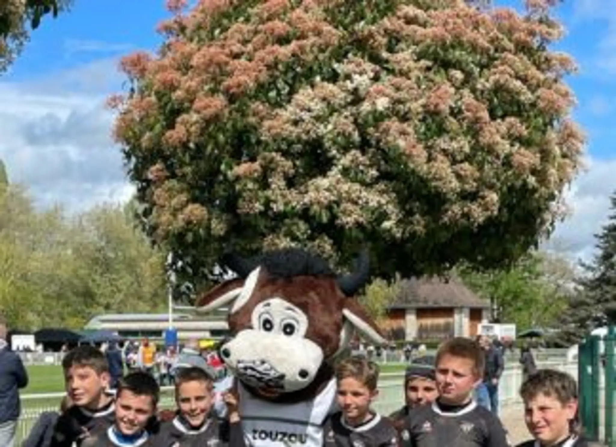 Rugby Union Sportive Bergerac
