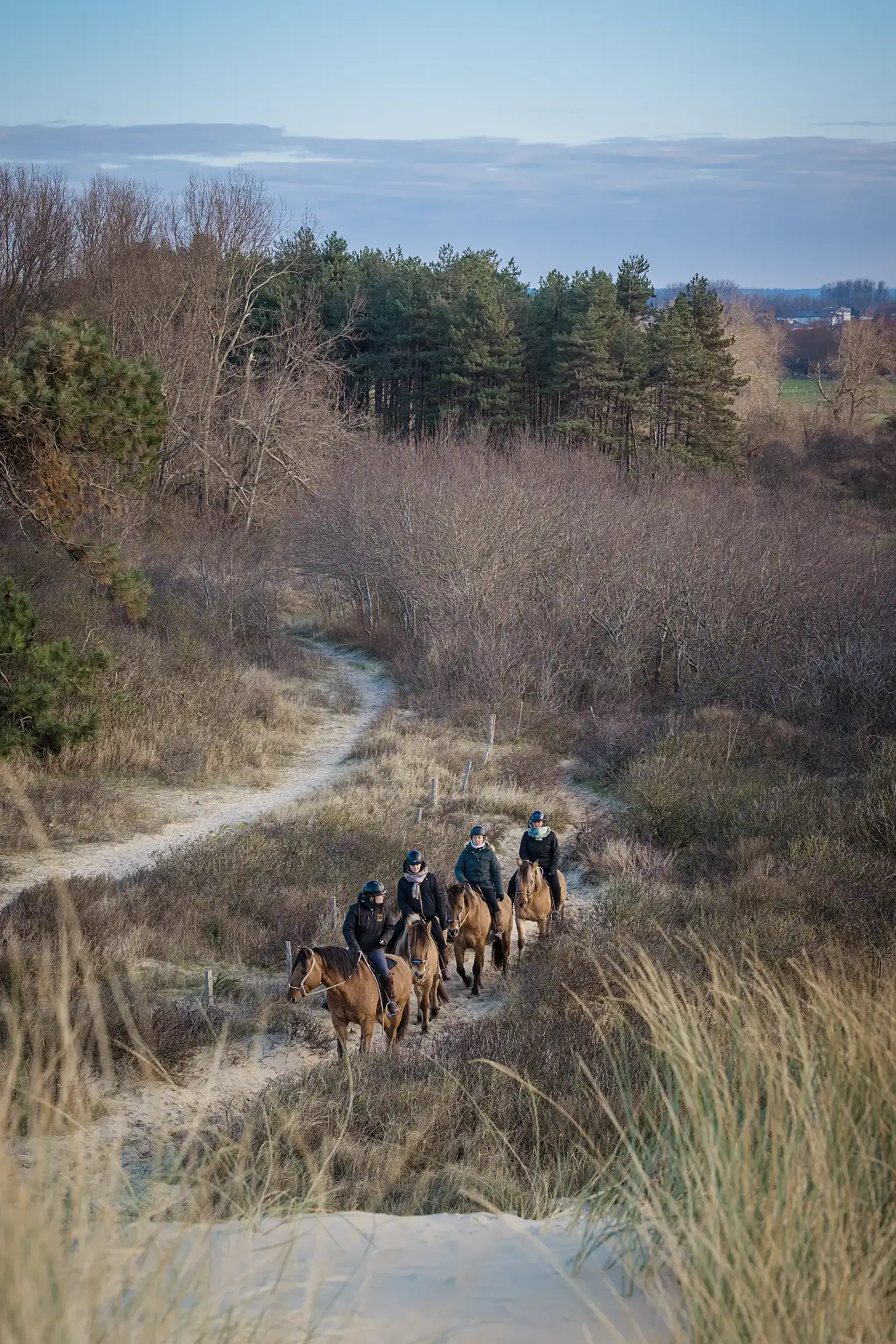 Space Equestrian Henson La Molière De Berck