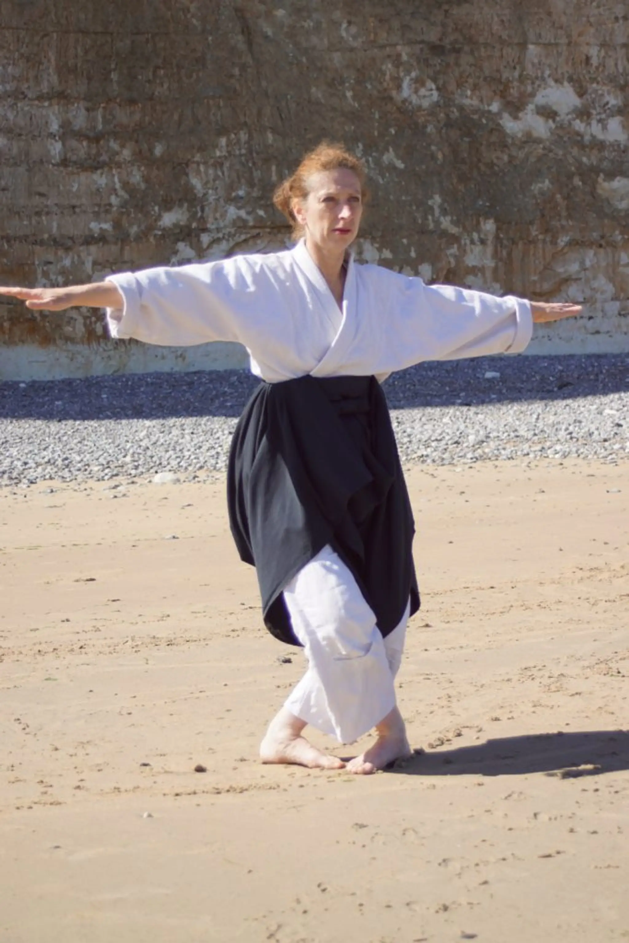 Academy Aikido Tray Is