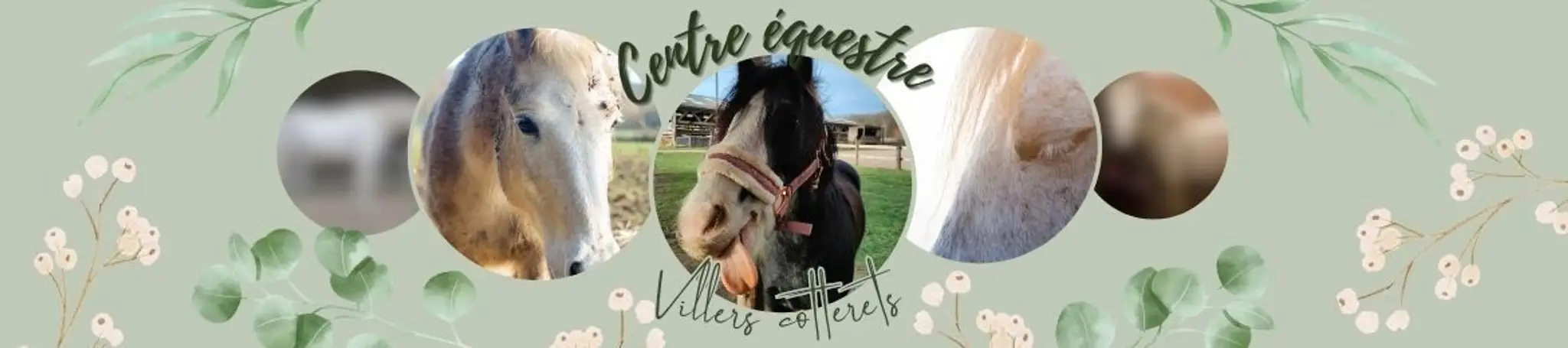 CENTRE EQUESTRE DE VILLERS COTTERETS ATEA