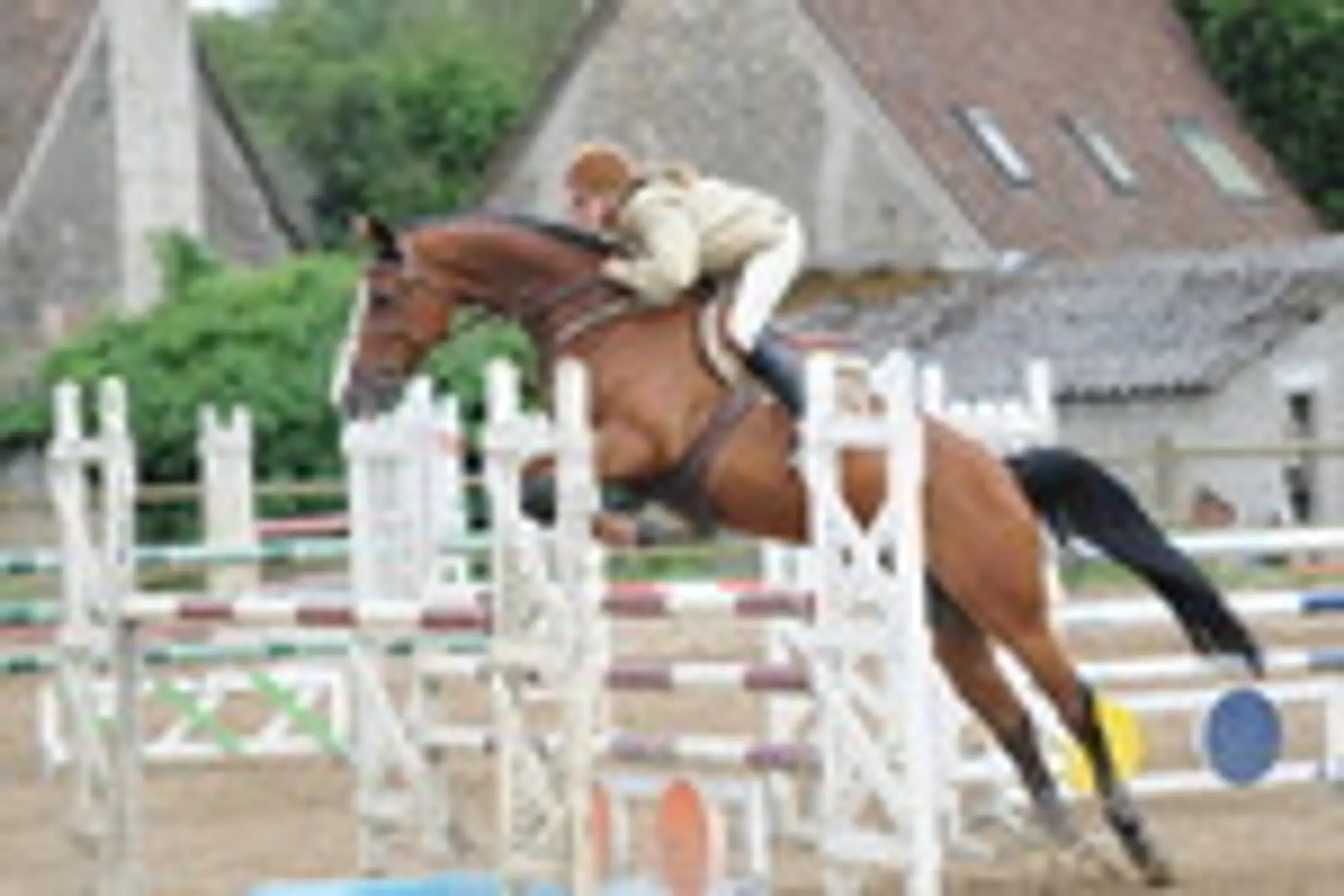 CENTRE EQUESTRE DU LIMOUSIN TEXONNIERAS