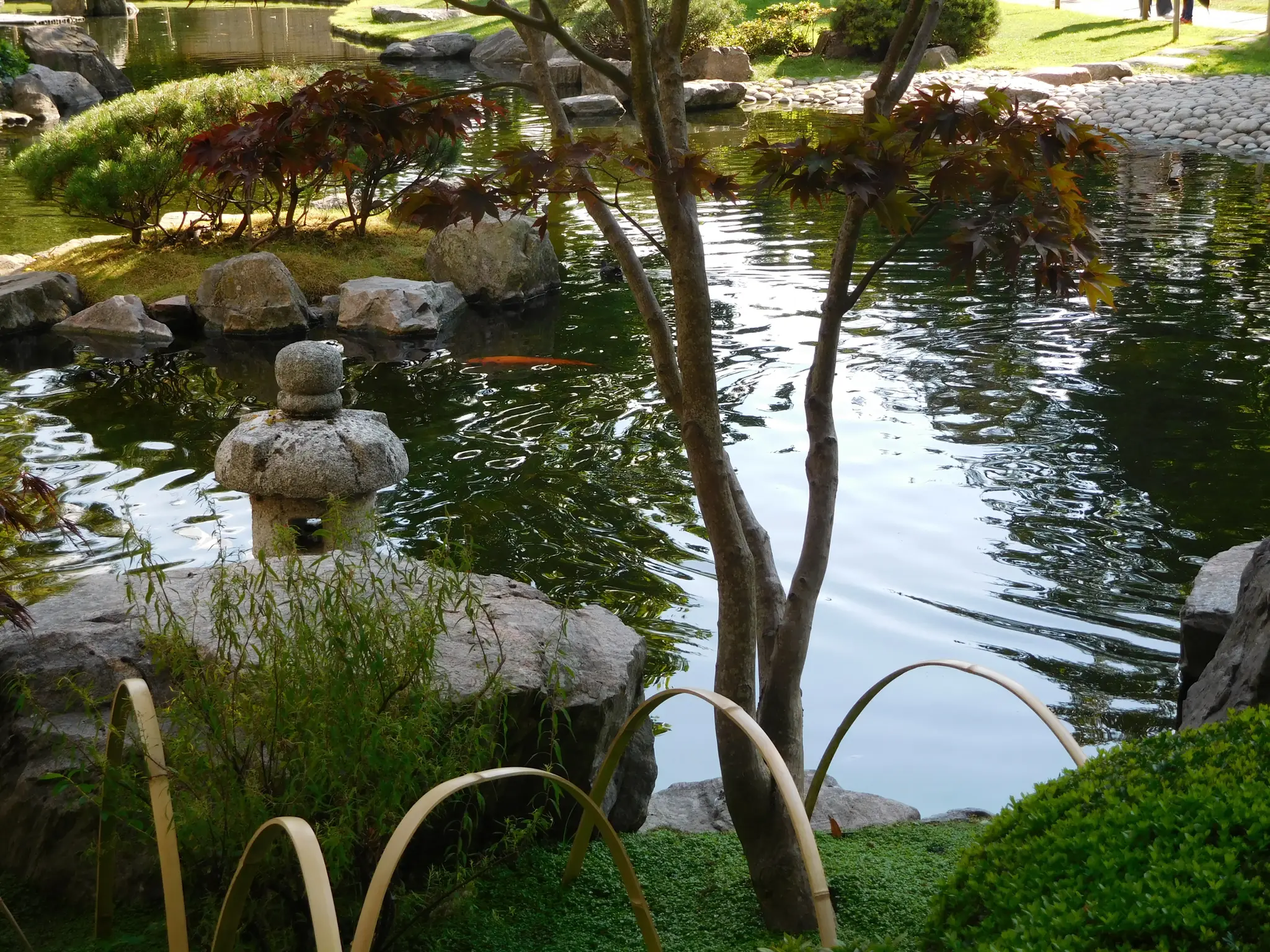 Réflexologie Et Yoga Céline Lemoine