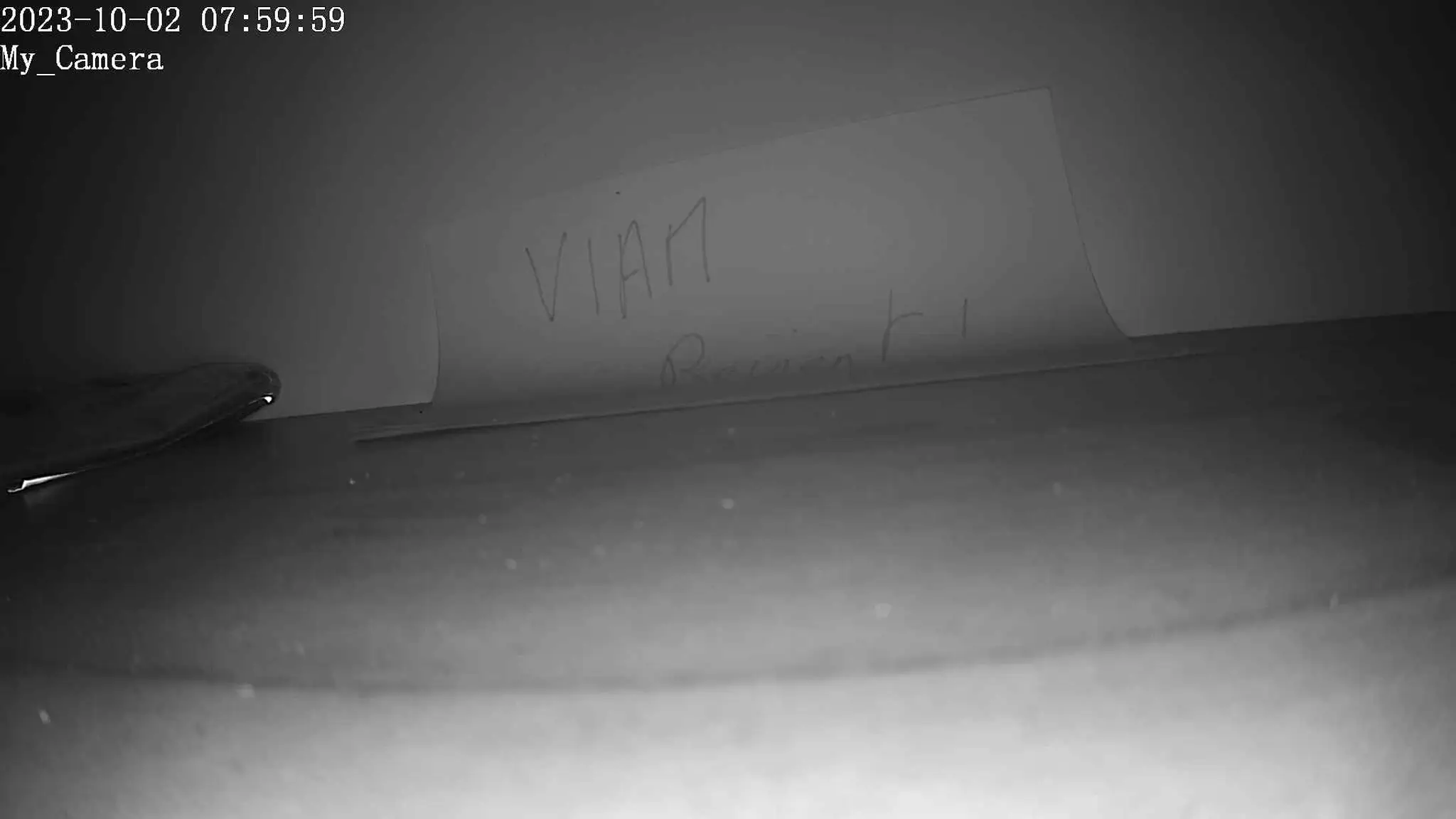 Webcam du lac de Viam