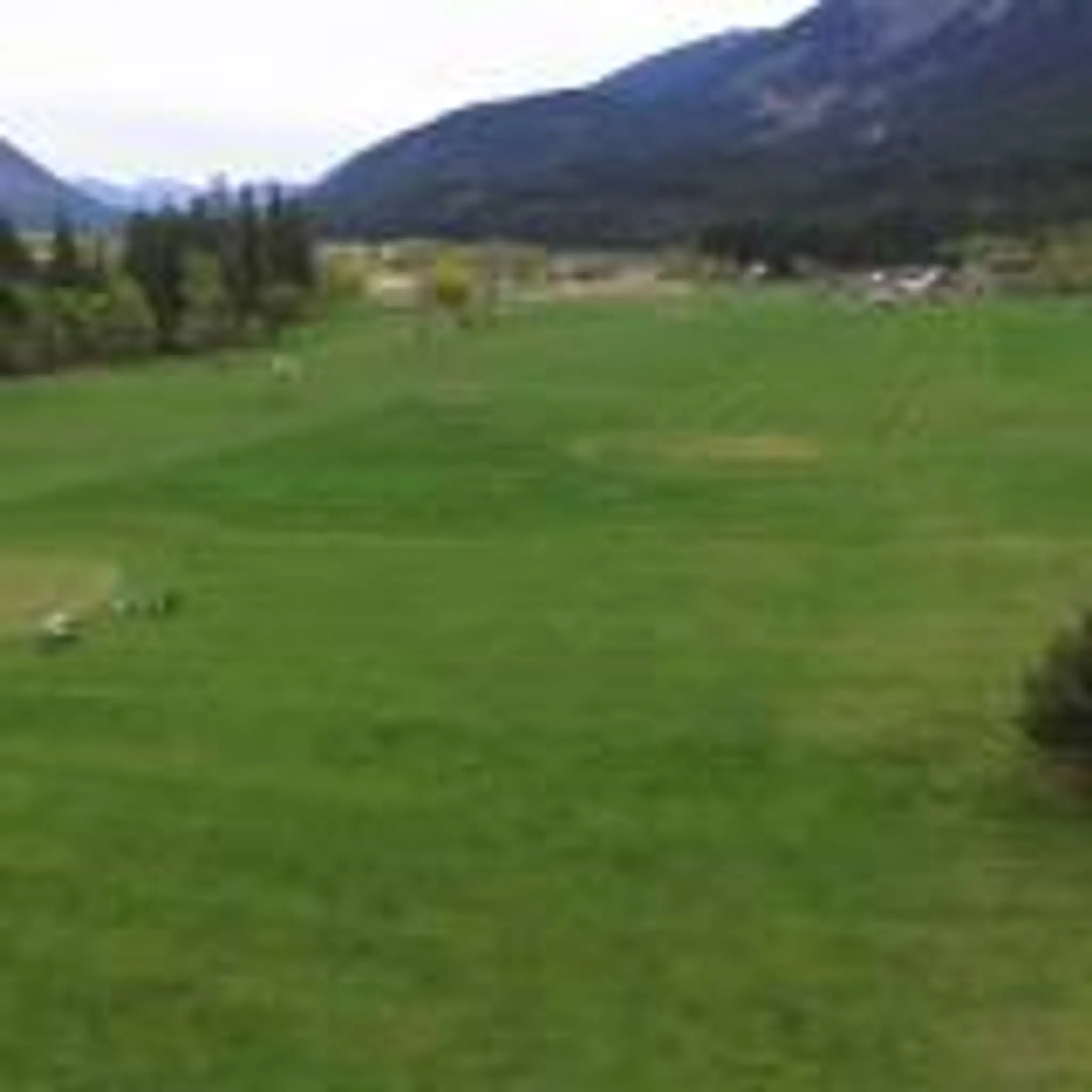 Sheep Pasture Golf Course