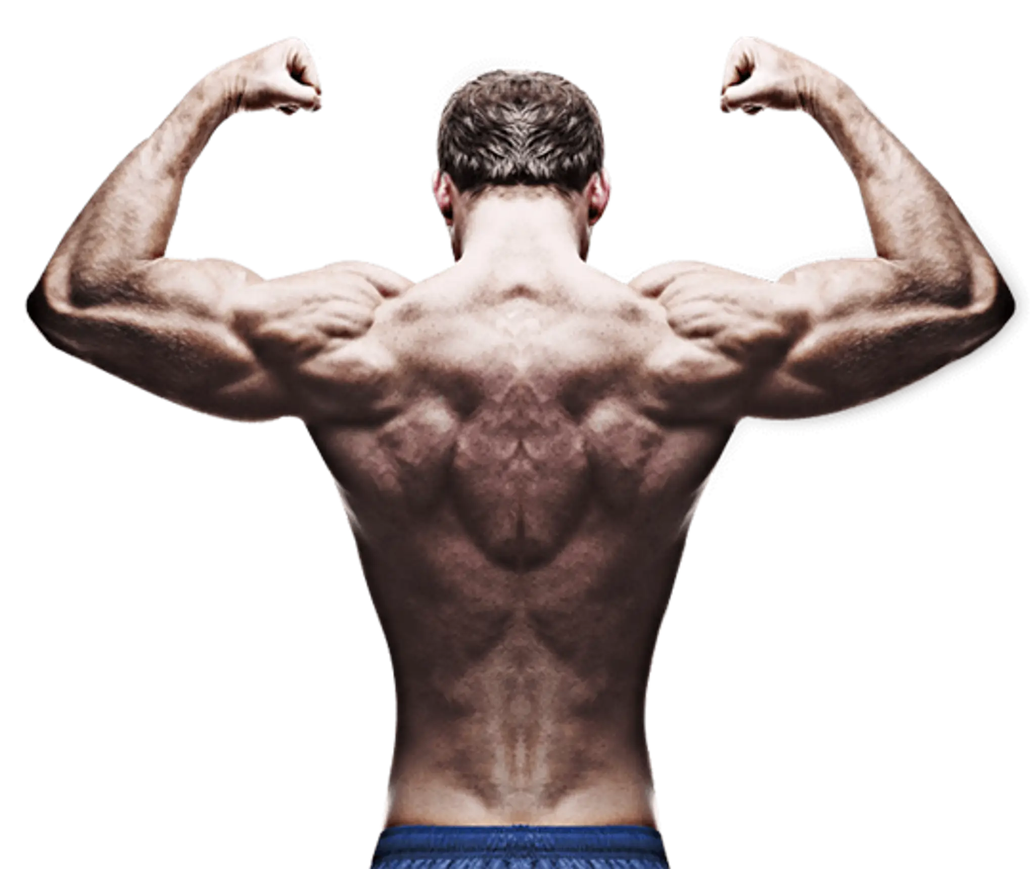 Bodysharp Studio Fitness Academy