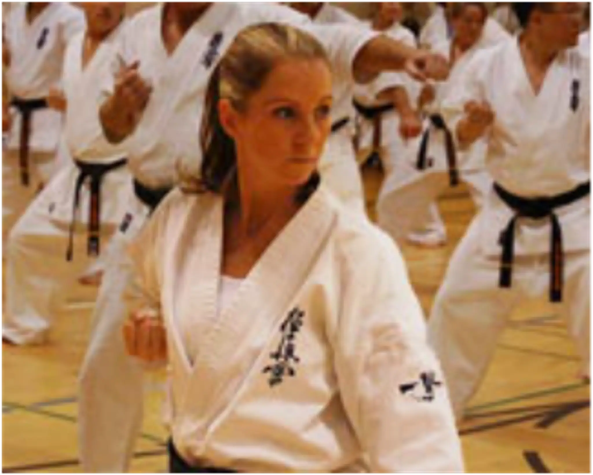 Calgary Kyokushin Karate - McKenzie Lake Dojo