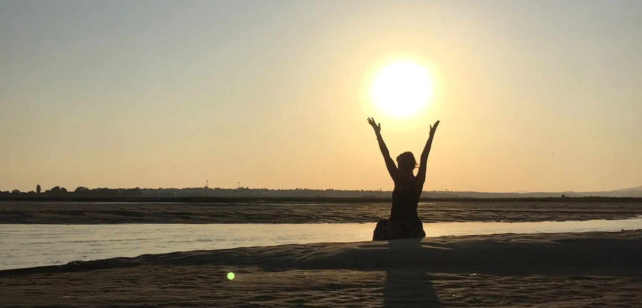 Blue Morpho Edinburgh