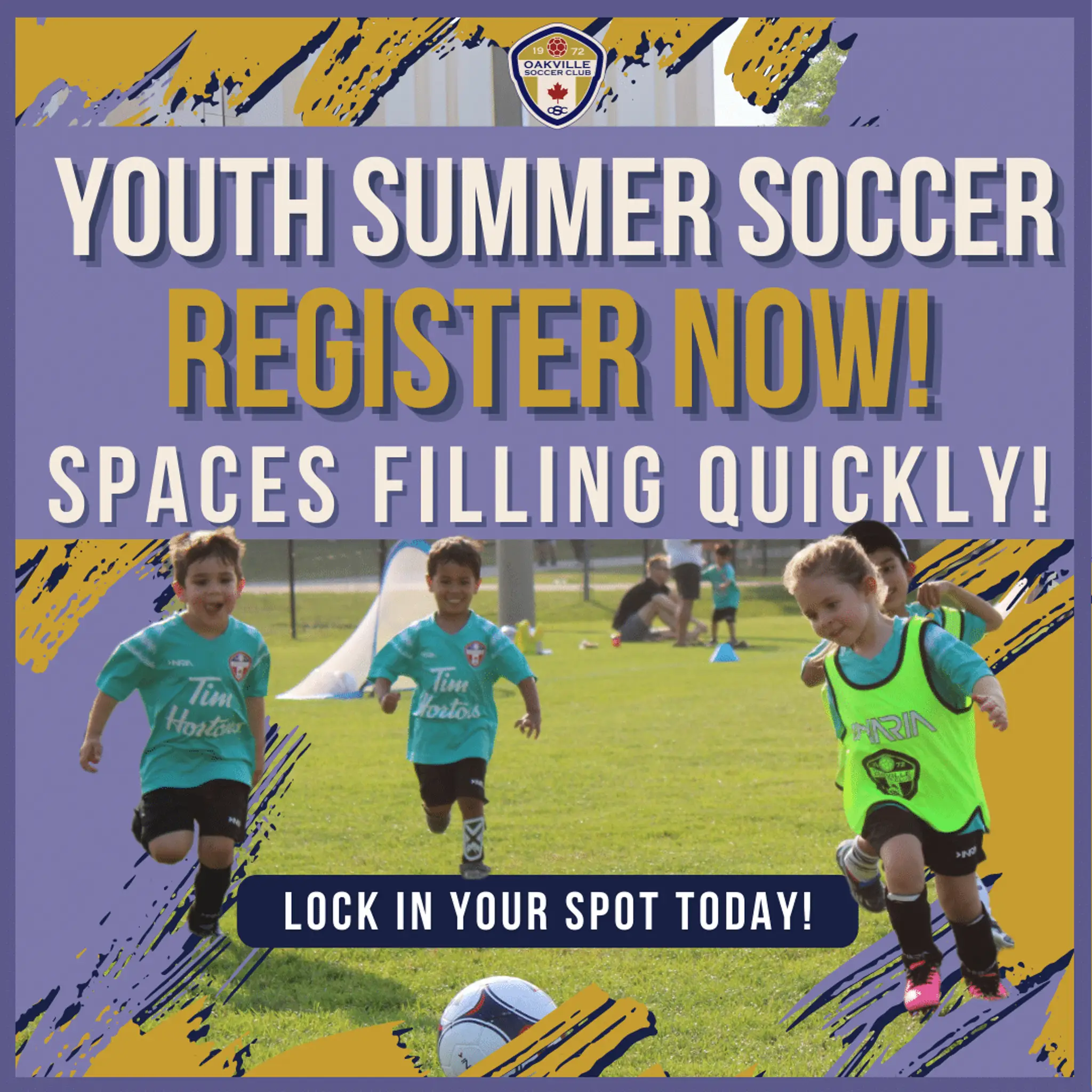 Oakville Soccer Club Inc