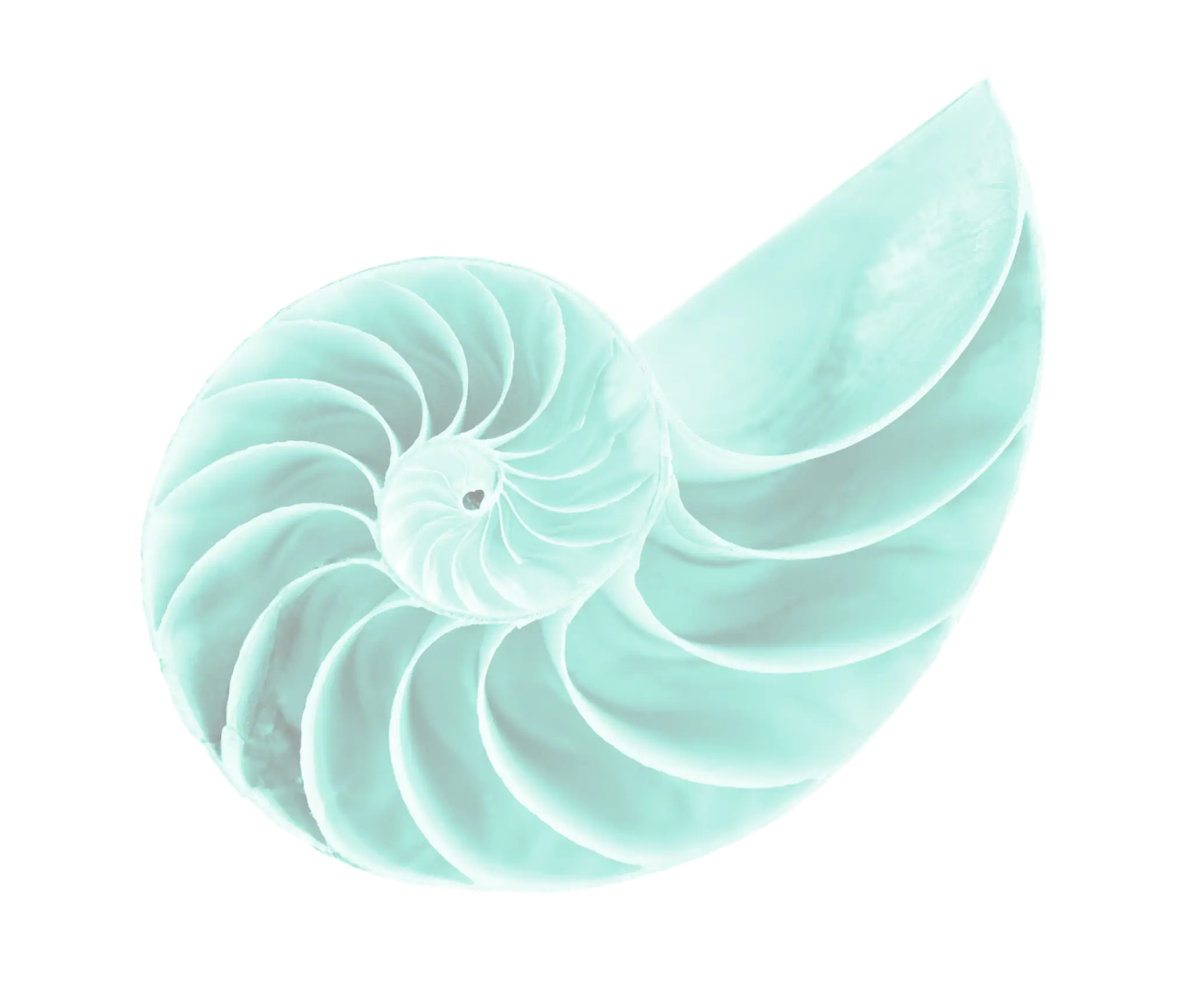 BlissBE.ME Integrative Holistic Health Inc.