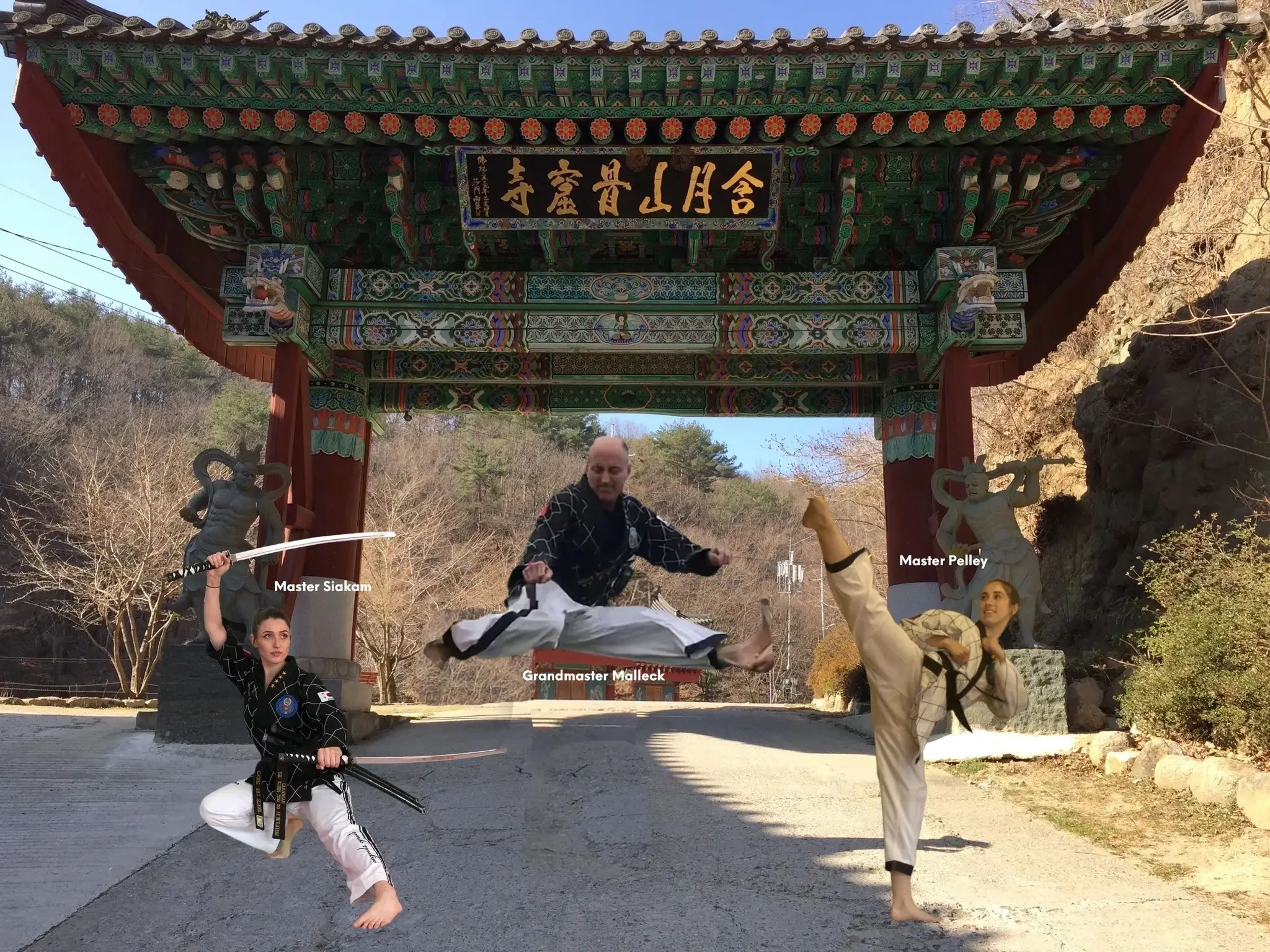 TKD Galt - Taekwondo