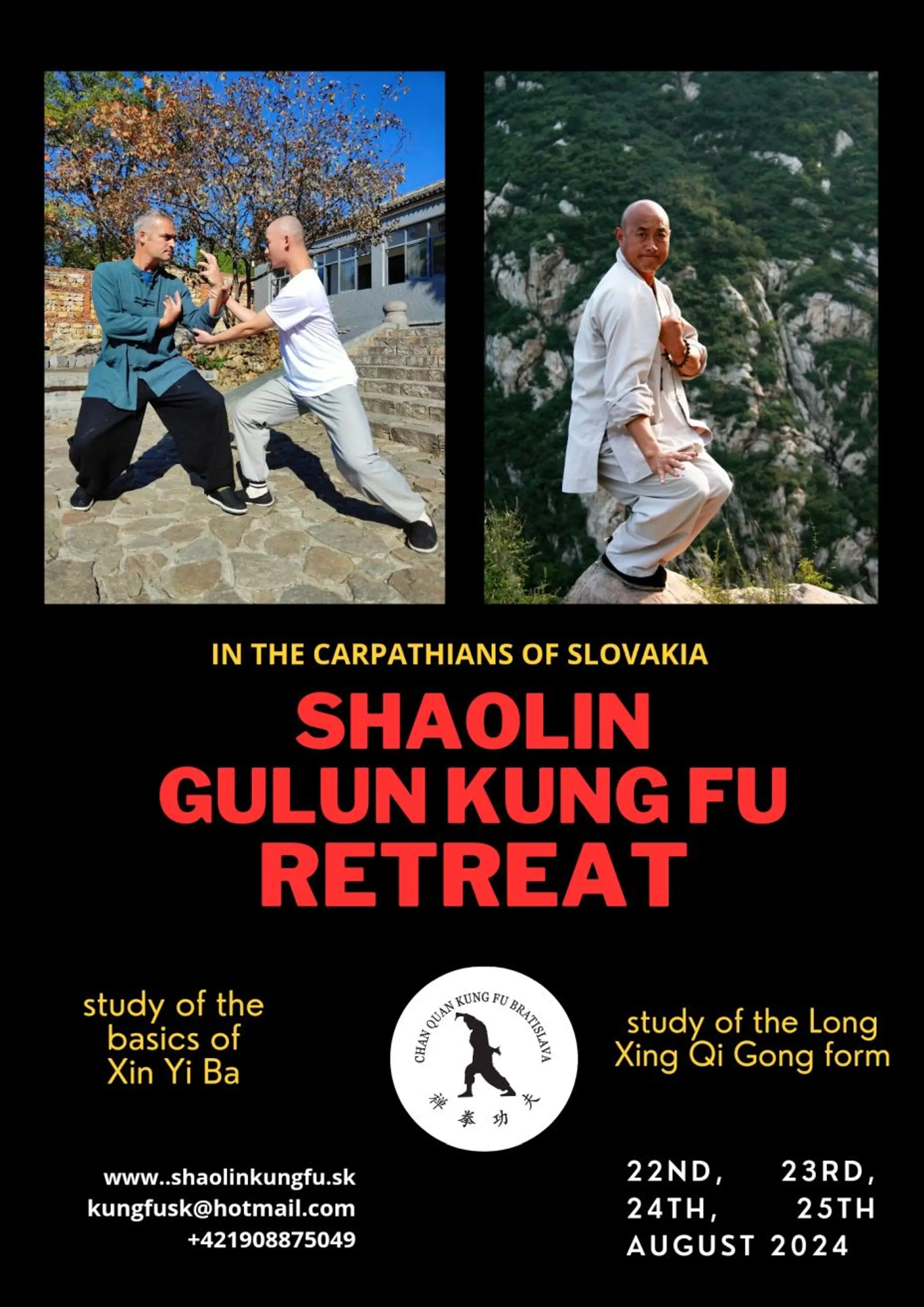 Chan quan kung fu