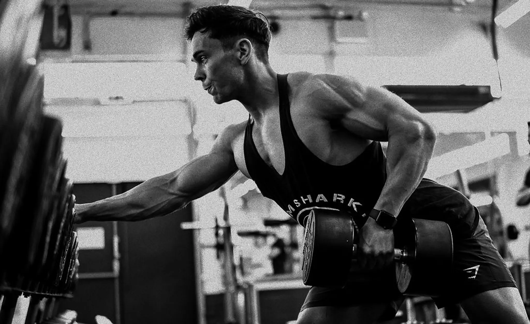 Lewis Stalley Fitness