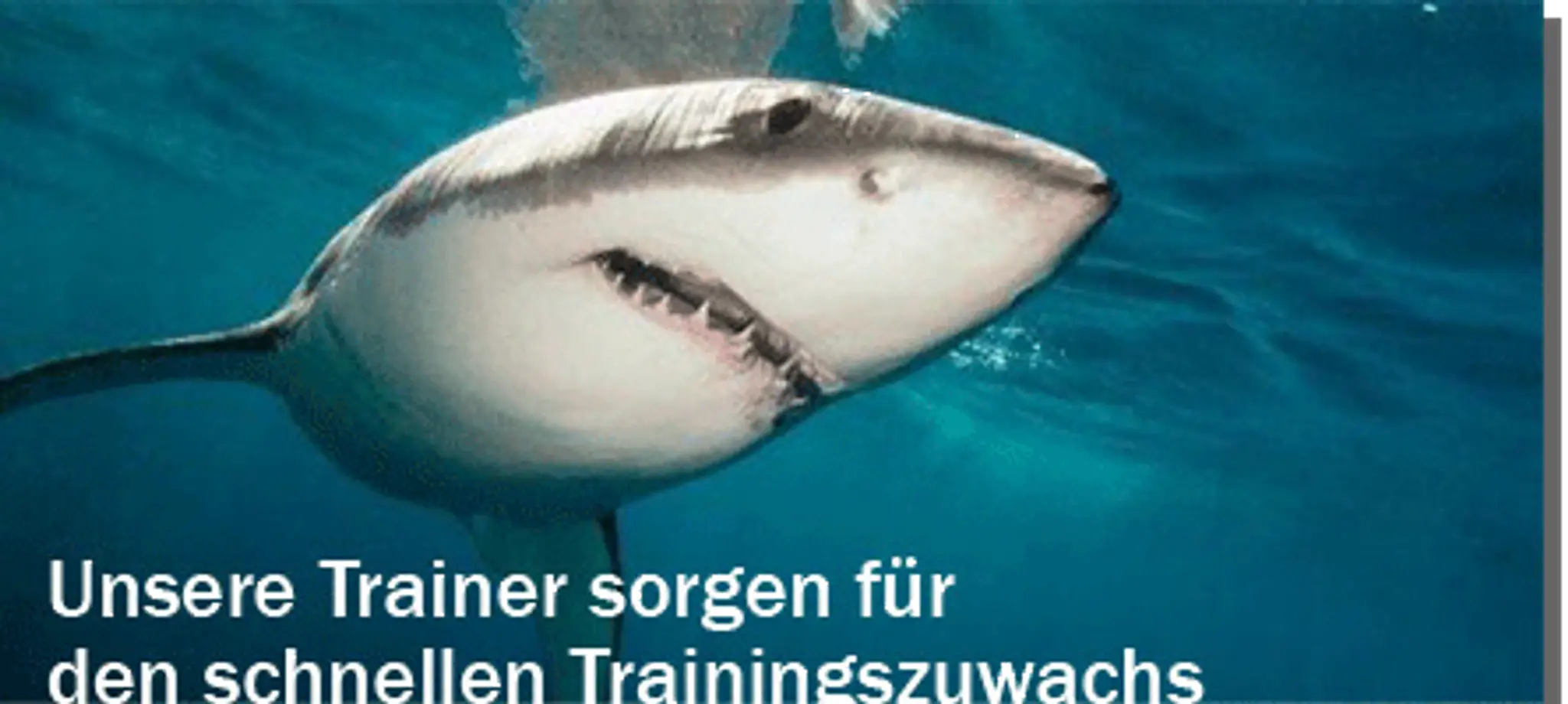 swimtech