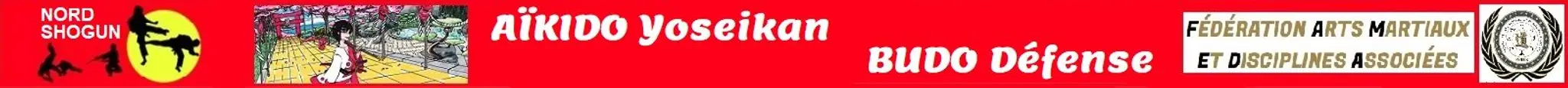 Nord Shogun Martial Arts Faches-Thumesnil