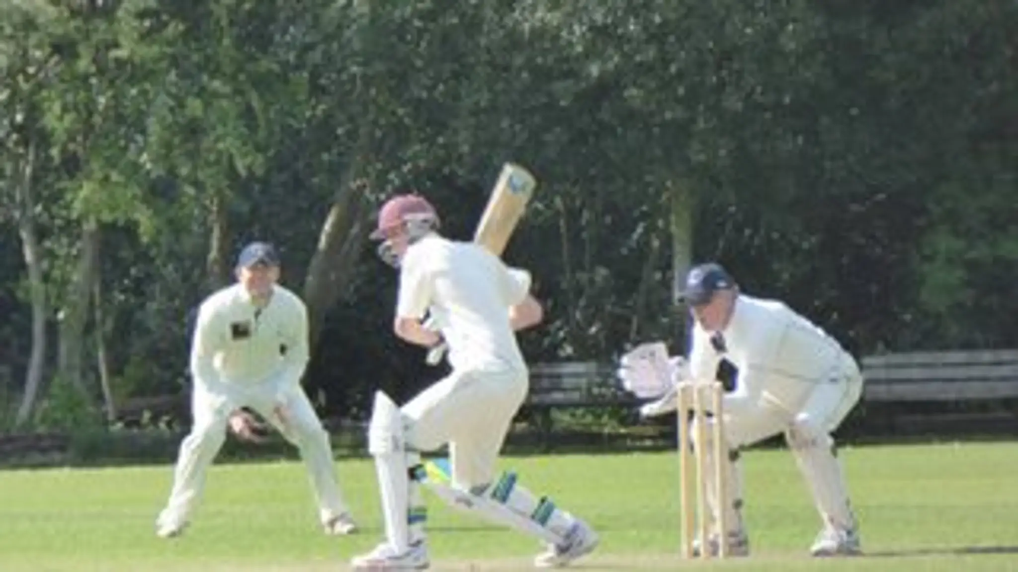 Falkland Cricket Club