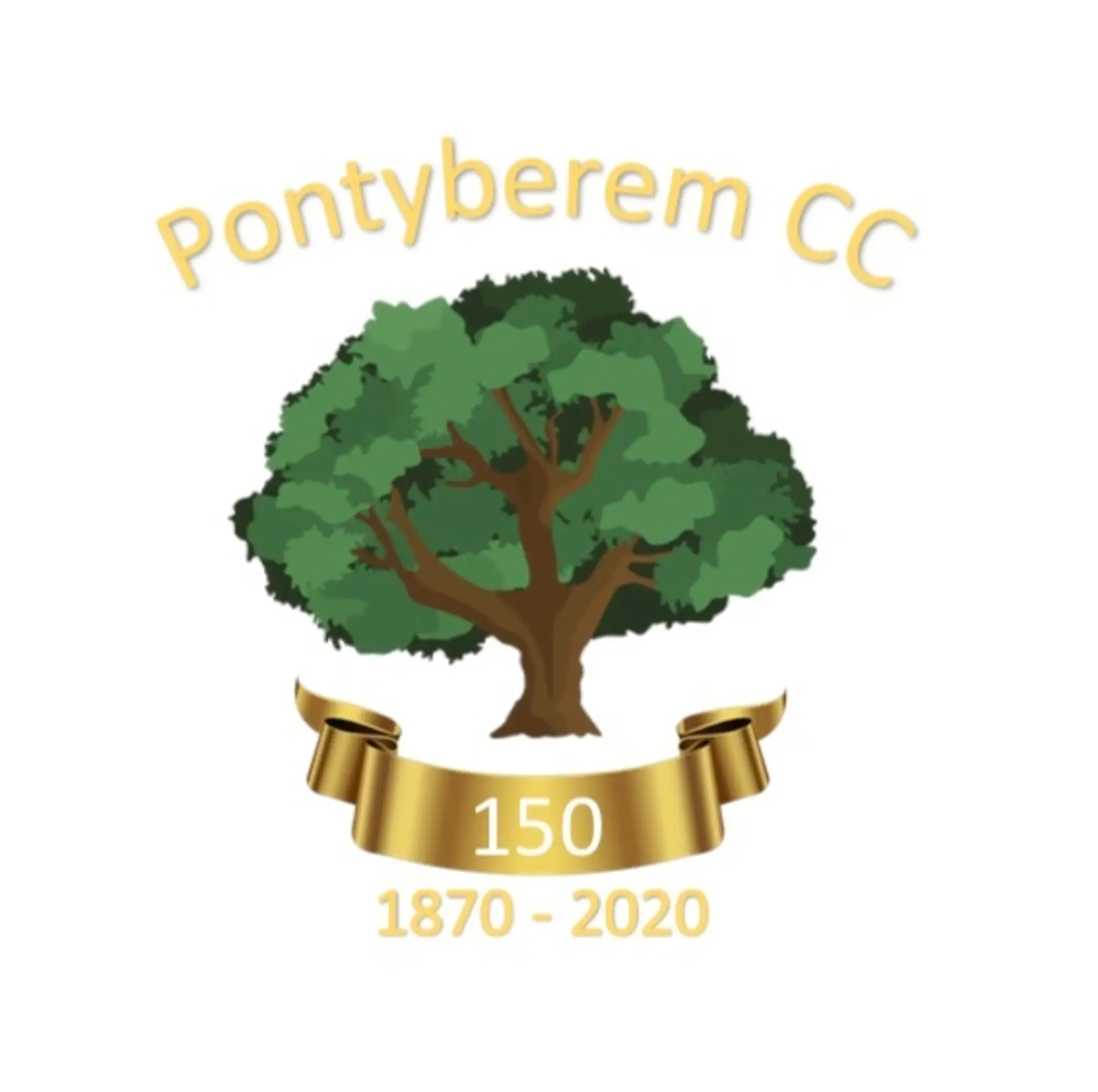Pontyberem Cricket Club