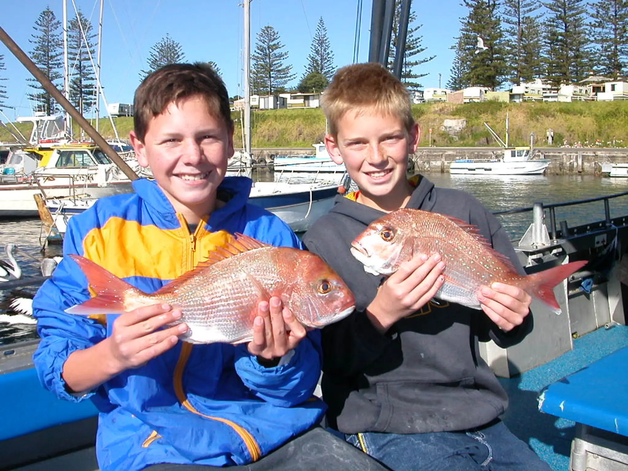 Kiama Charter Service