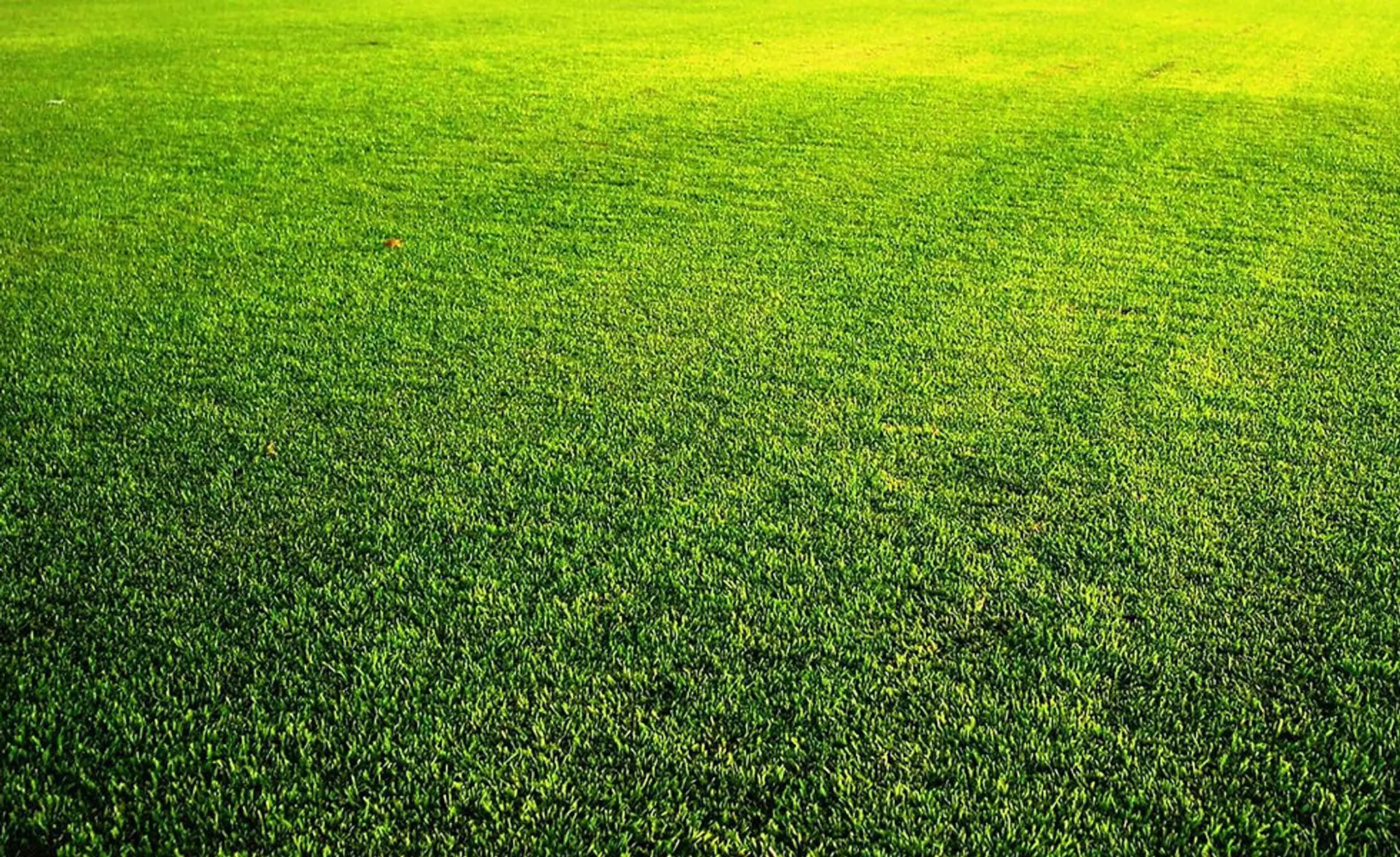 Hammond Park Football Club