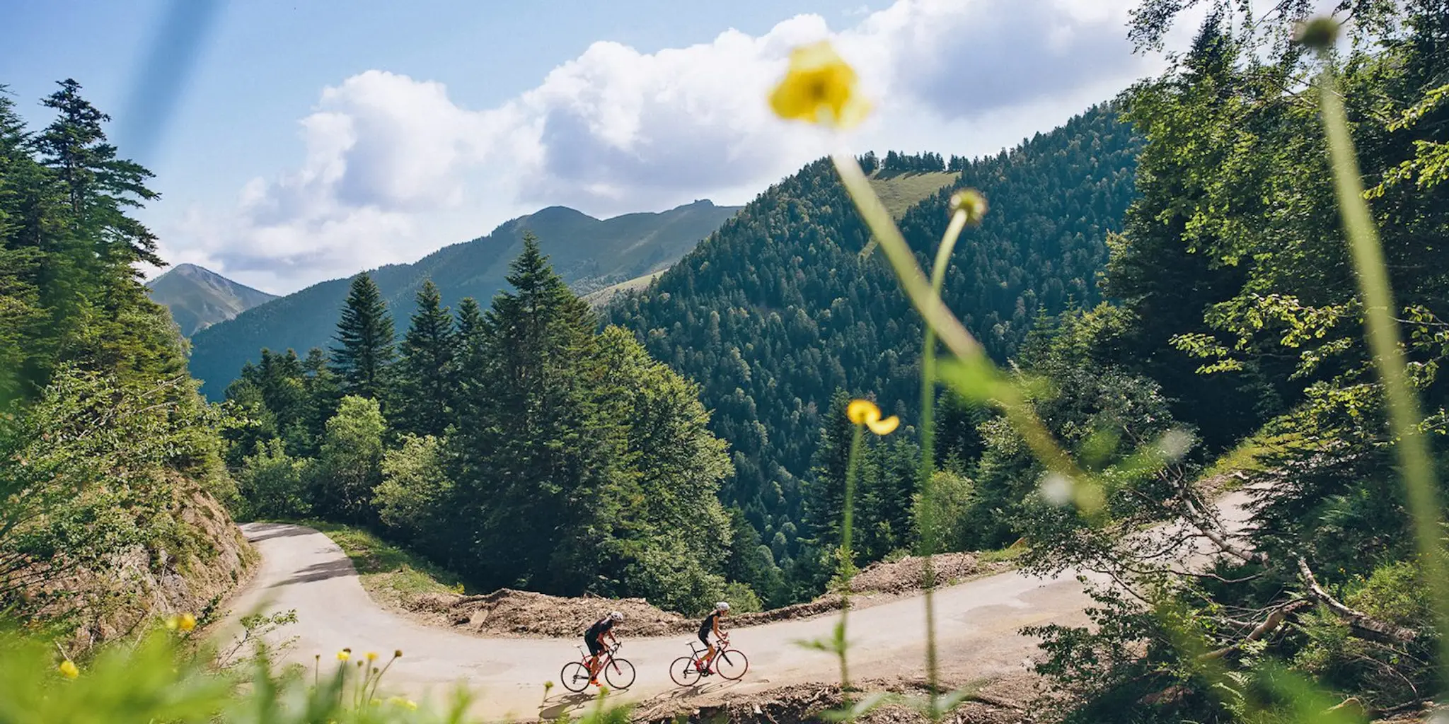 PyrActif Guest House